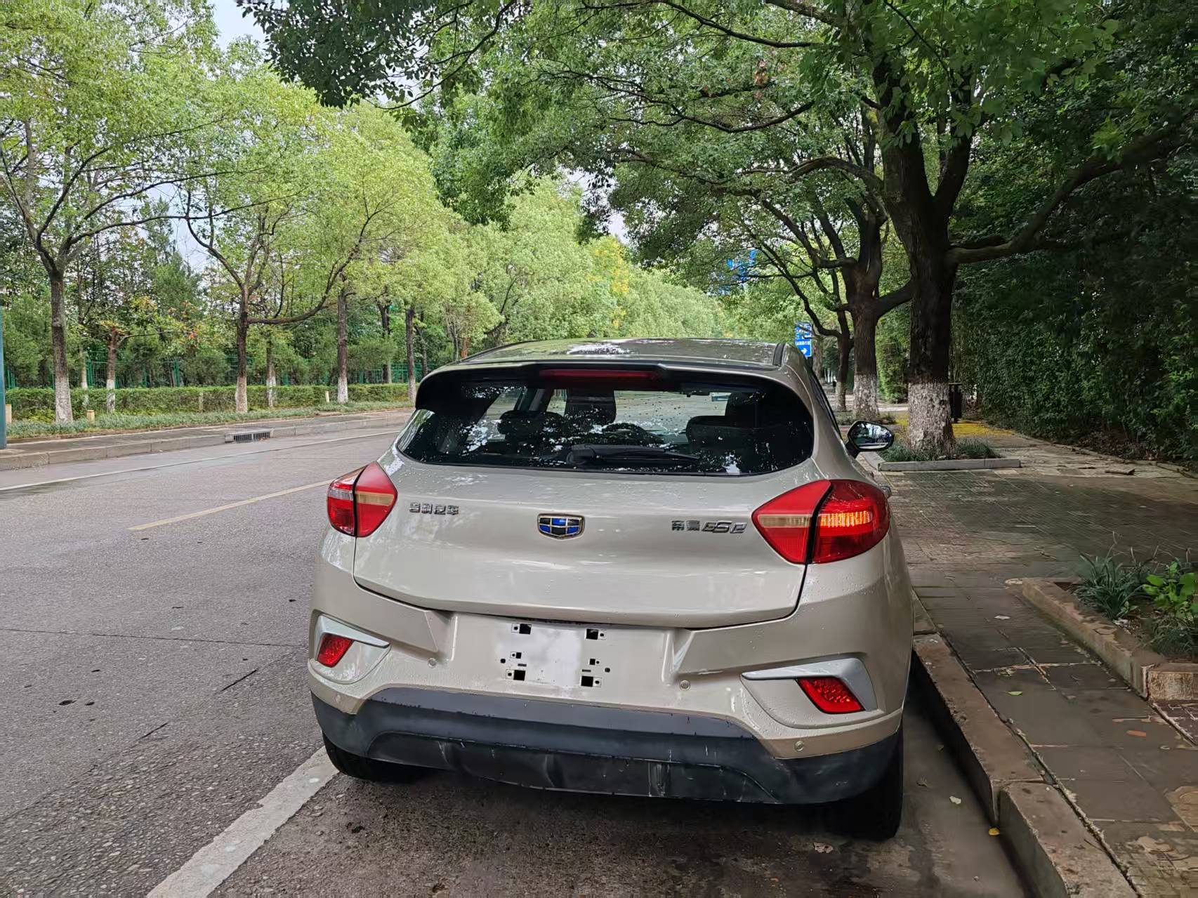 GEELY Emgrand GSe 2019 car image #5