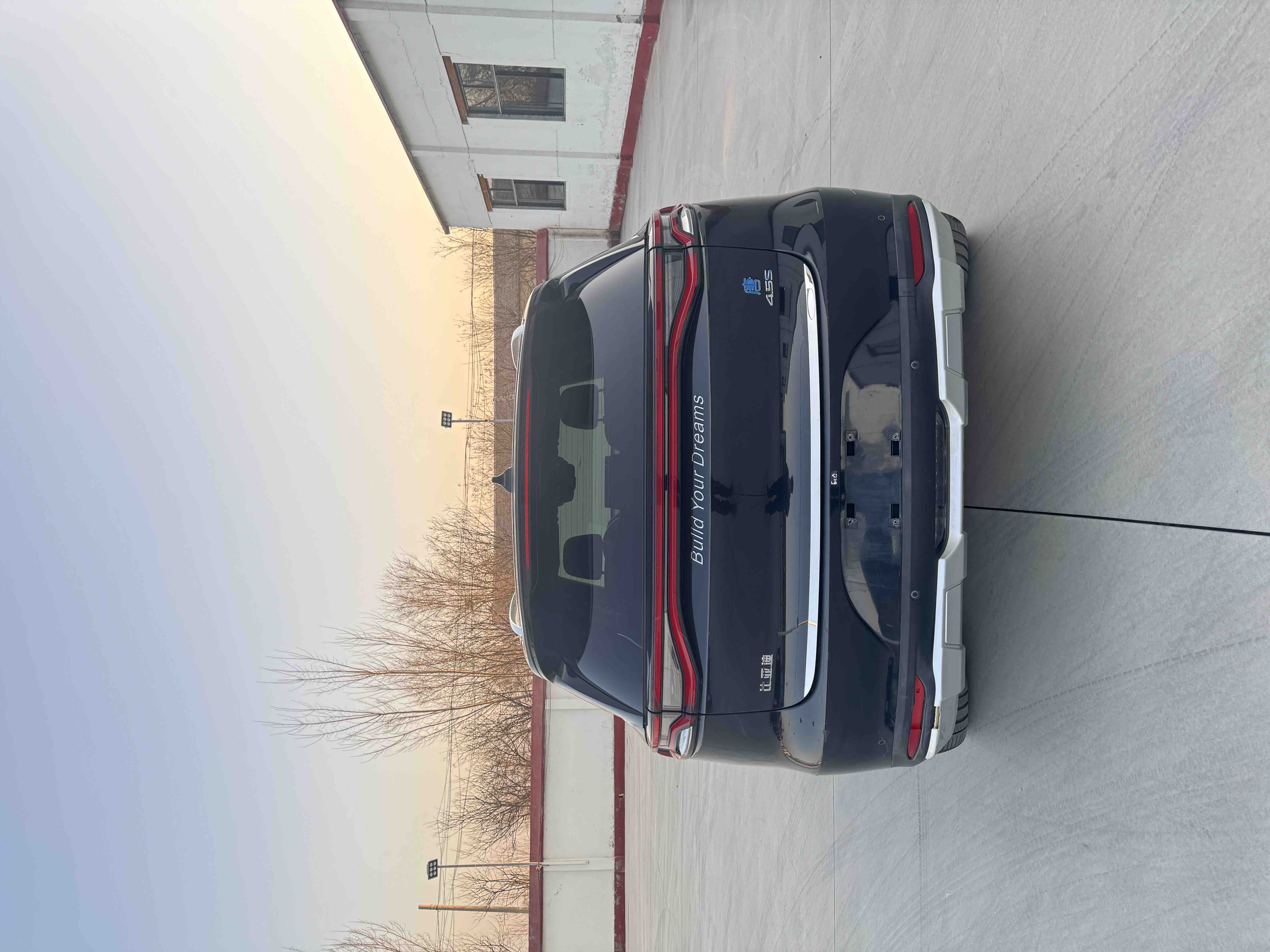 BYD Tang New Energy 2018 immagine di auto #5