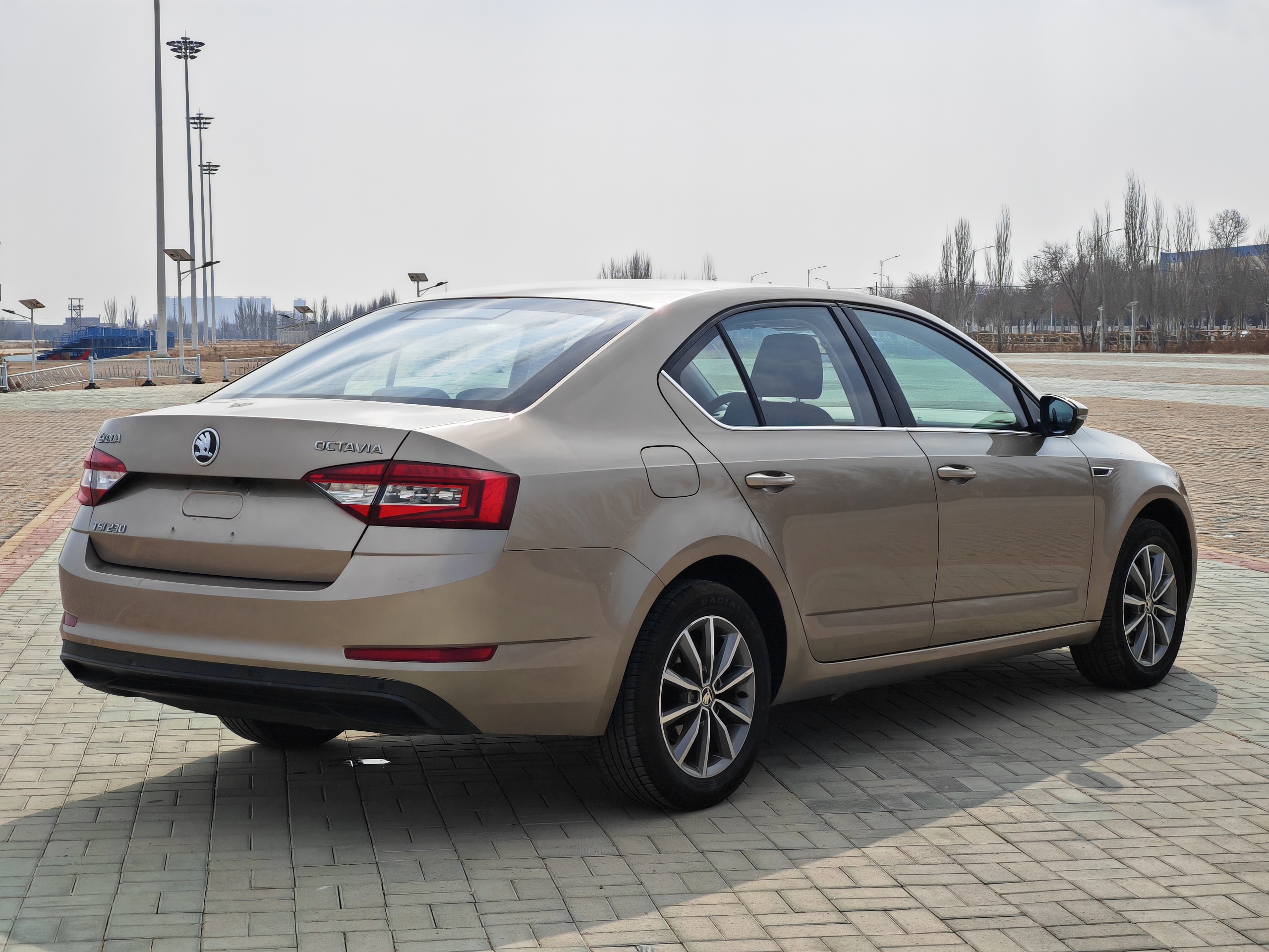 Skoda Octavia 2019 car image #5
