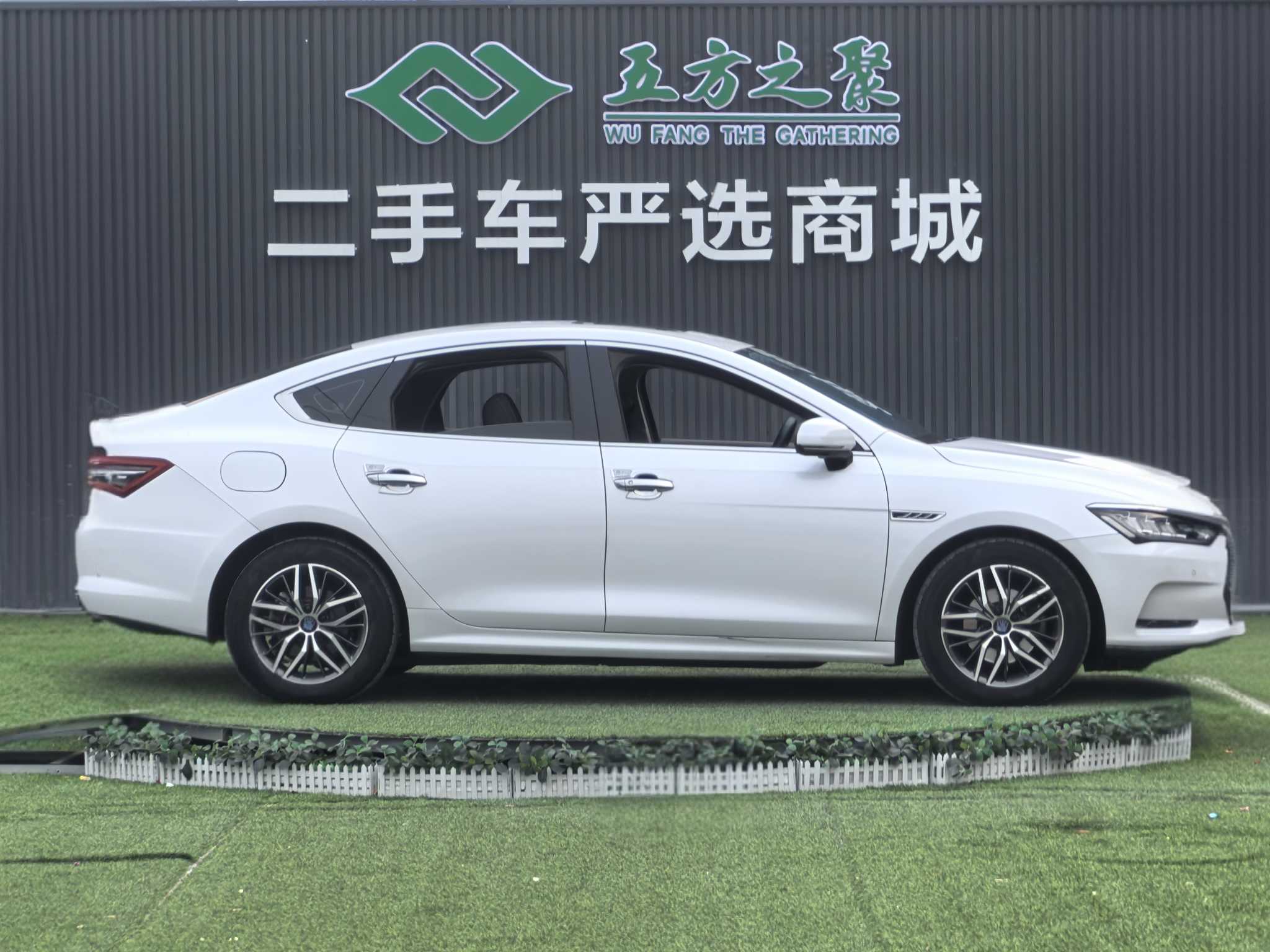 BYD Qin Pro New Energy 2019 car image #5