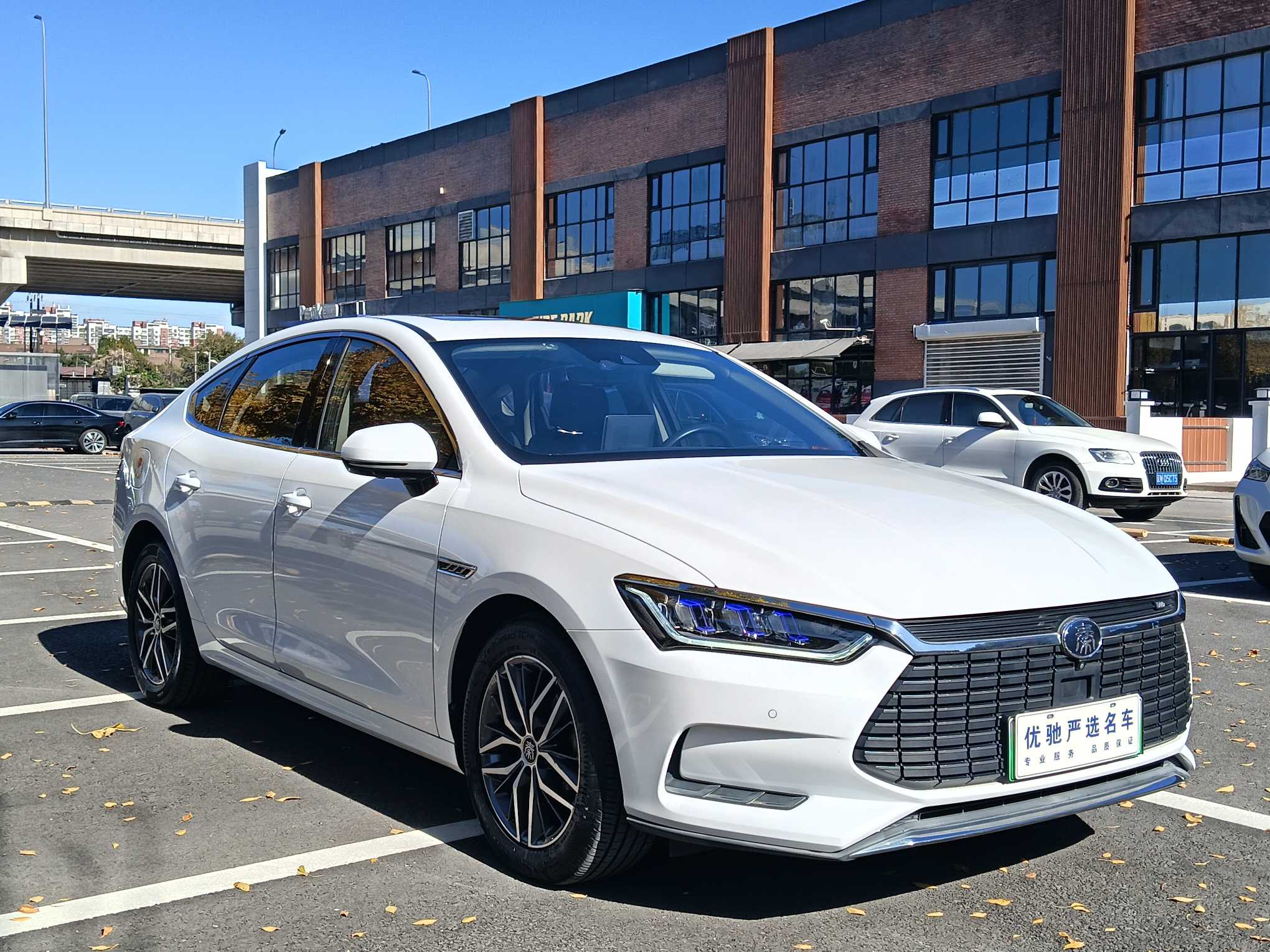 BYD Qin Pro New Energy 2020 car image #5