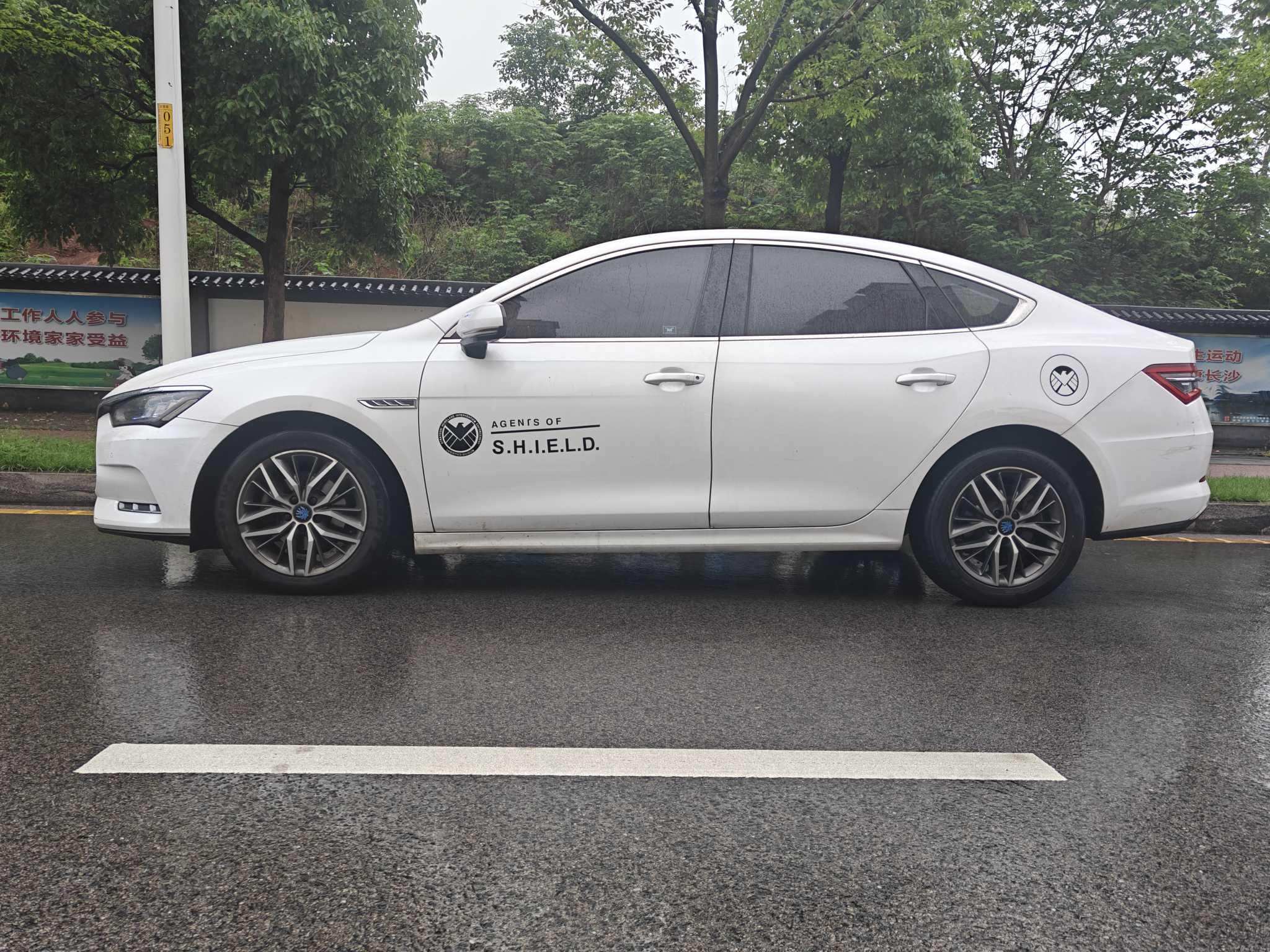 BYD Qin Pro New Energy 2019 car image #5