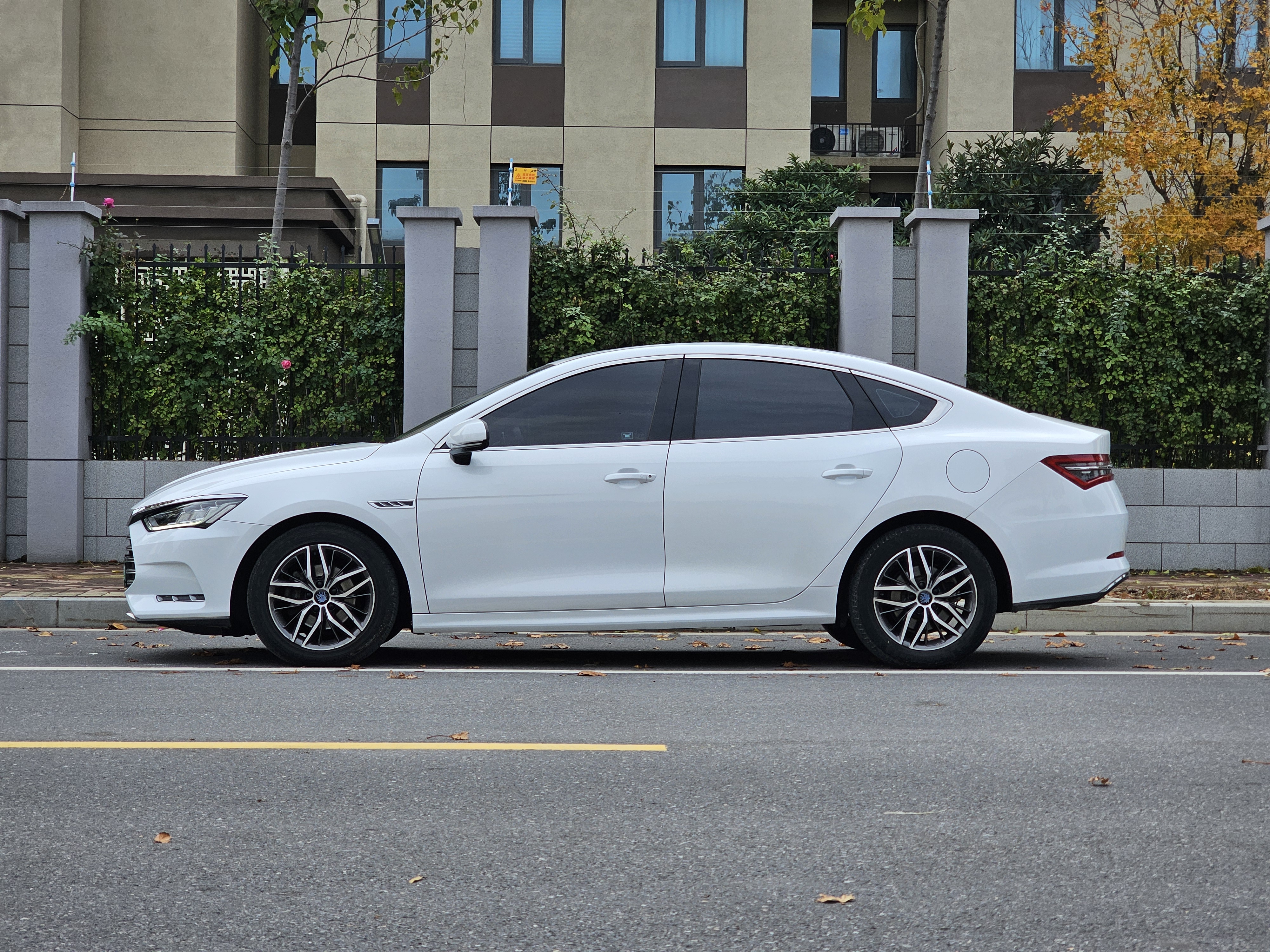 BYD Qin Pro New Energy 2019 #5 BYD Qin Pro New Energy 2019 car image #5