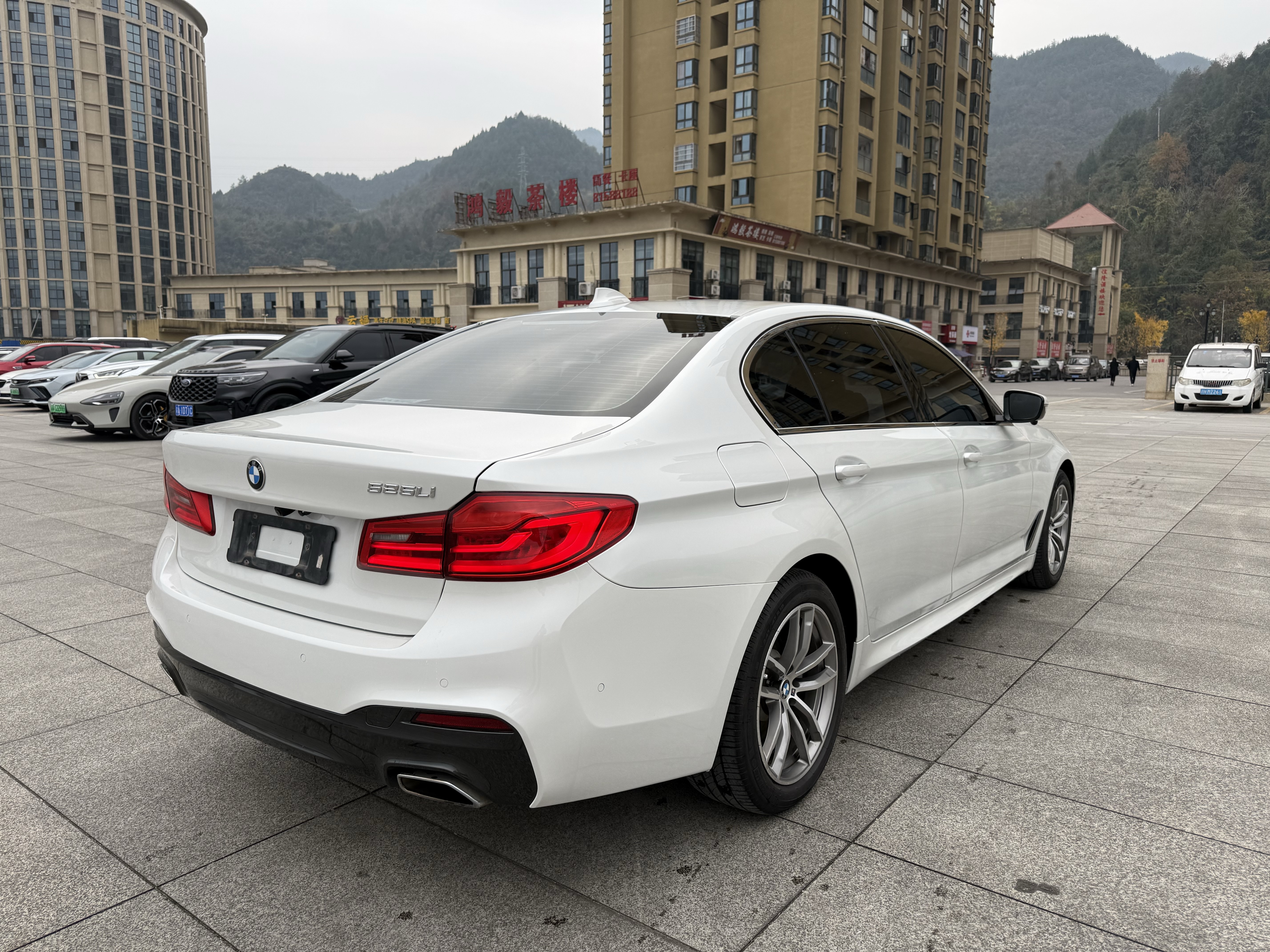 BMW 5 Series 2019 car image #5
