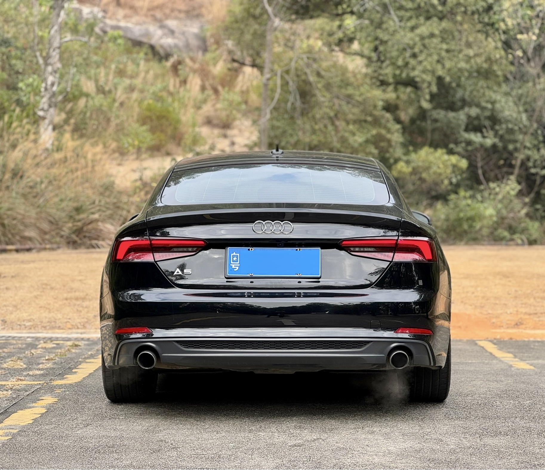 Audi A5 (Imported) 2019 car image #5