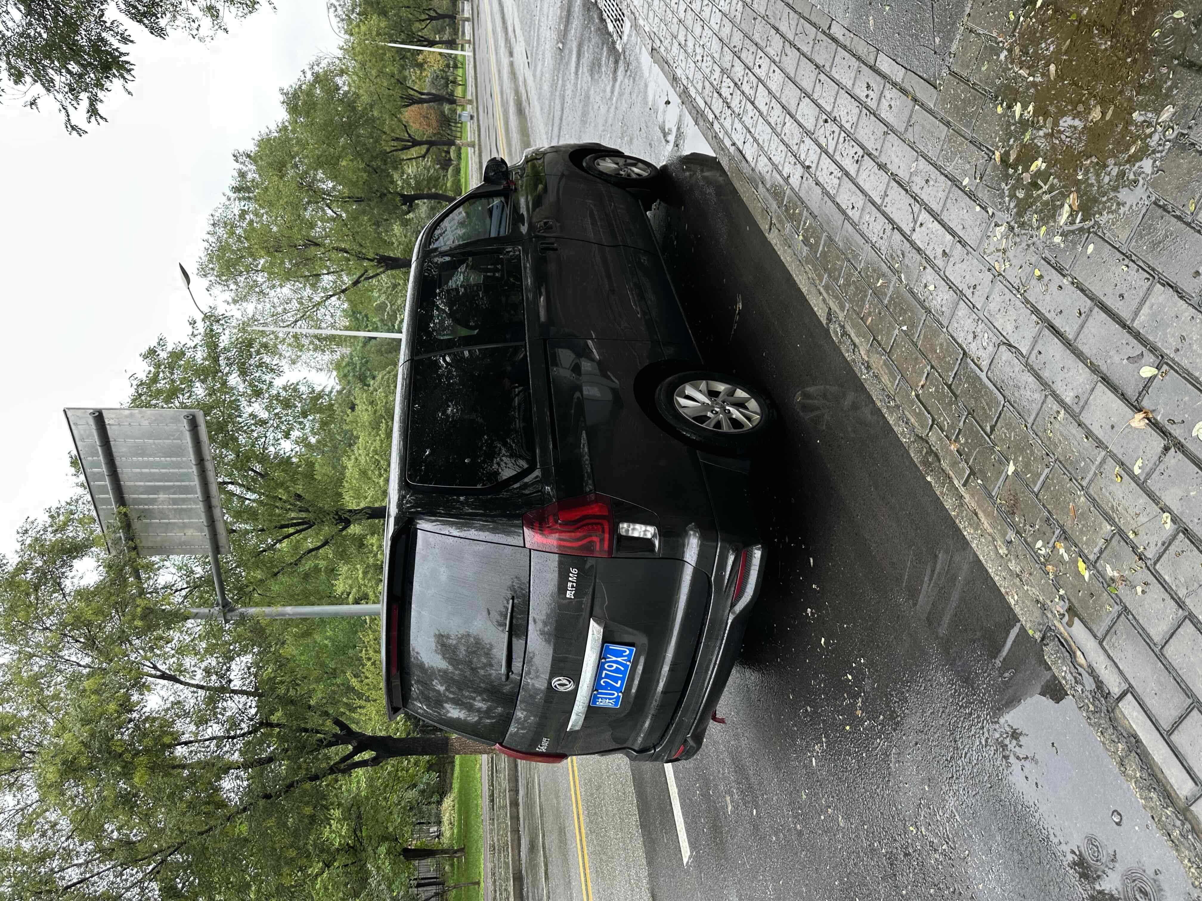 Forthing M6 2020 imagen de coche #5