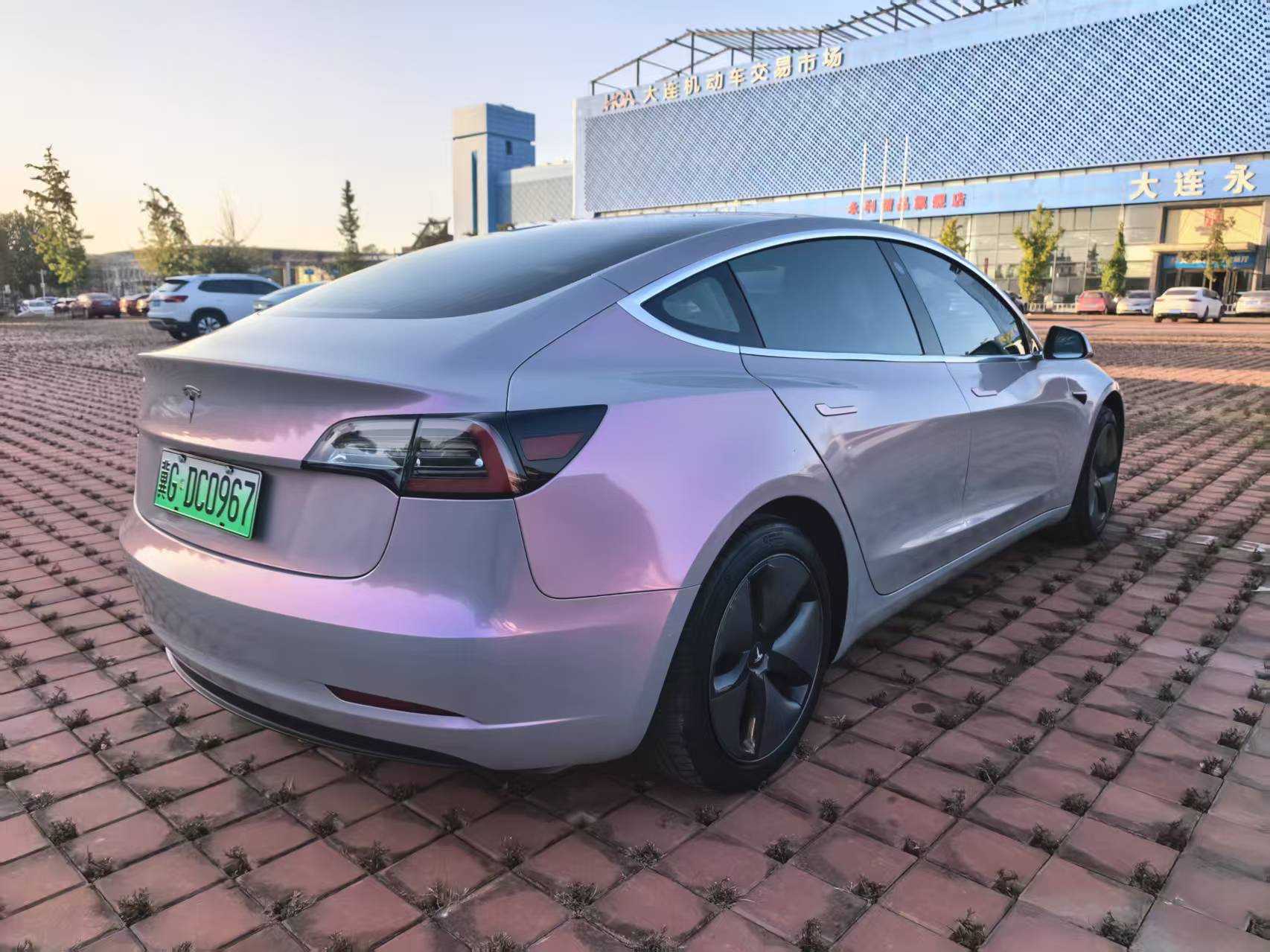 特斯拉 Model 3(进口) 2019 汽车图片 #5