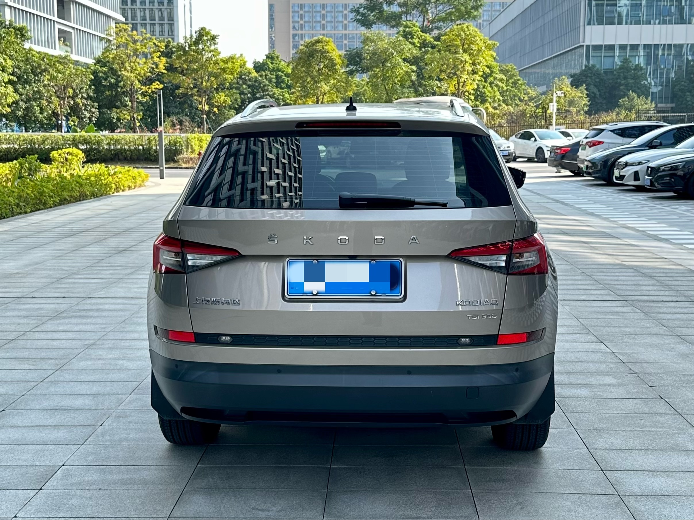 Skoda Kodiaq 2020 car image #5