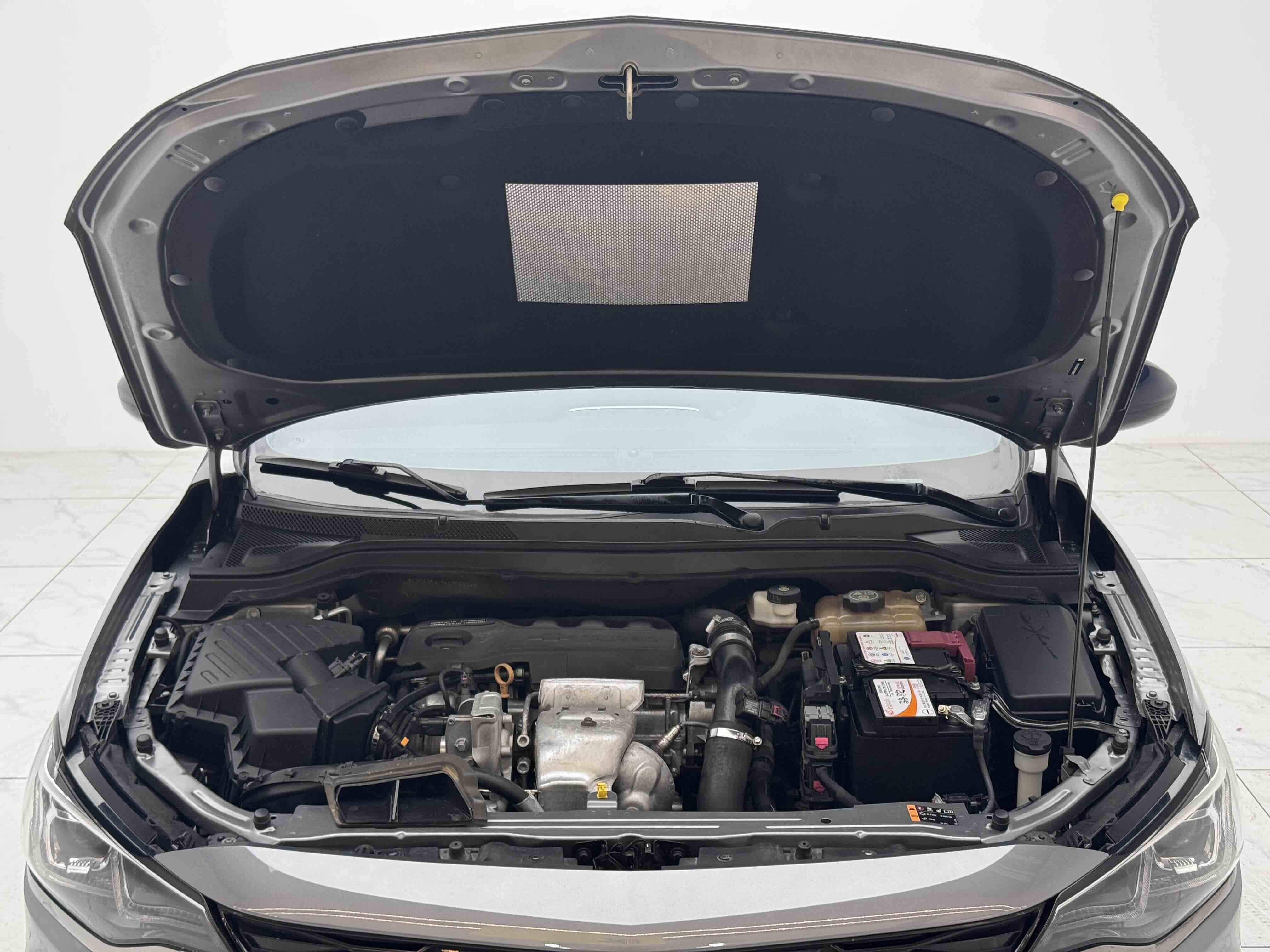 2019 car image #5