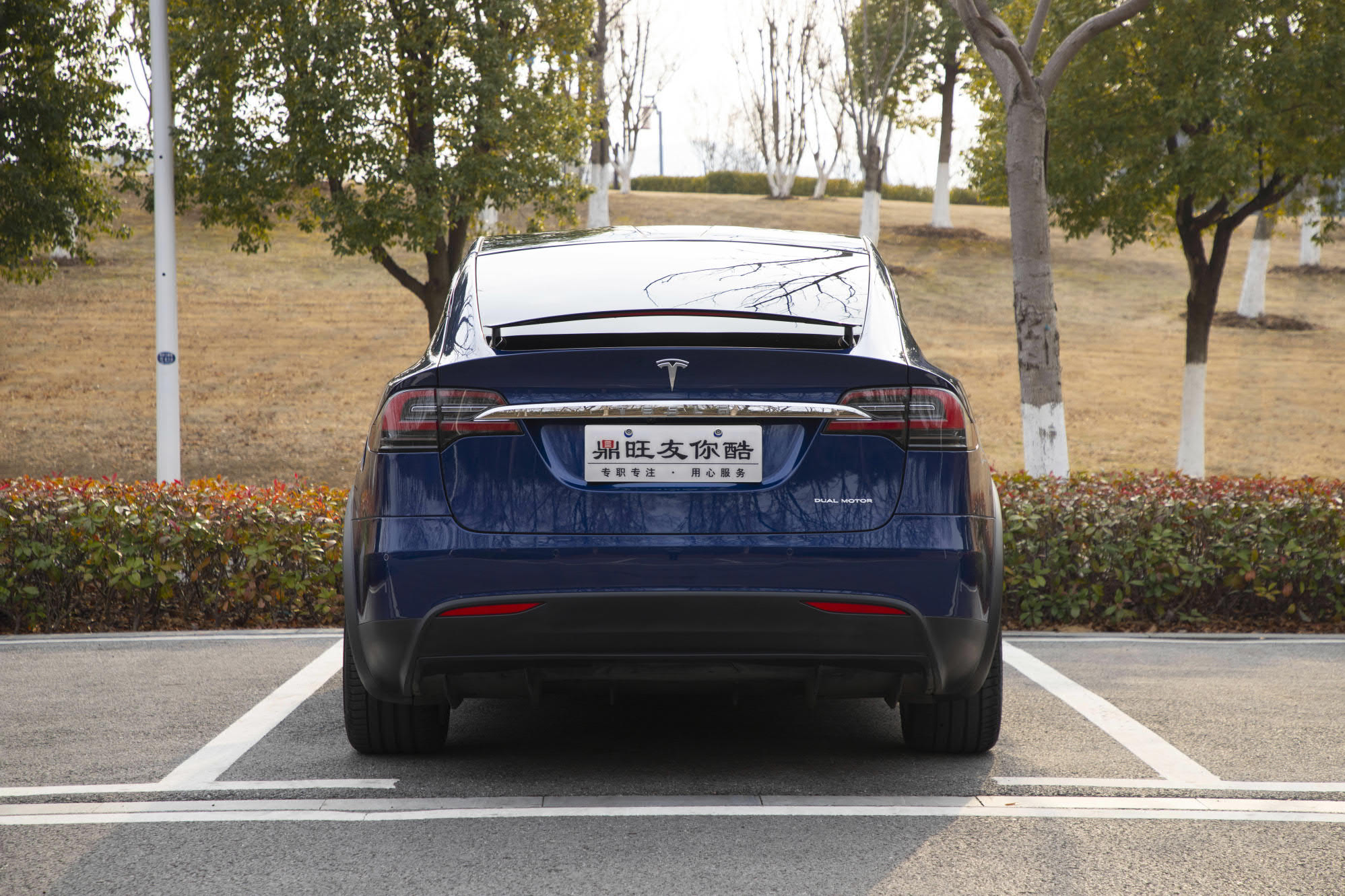 特斯拉 Model X 2019 汽车图片 #5