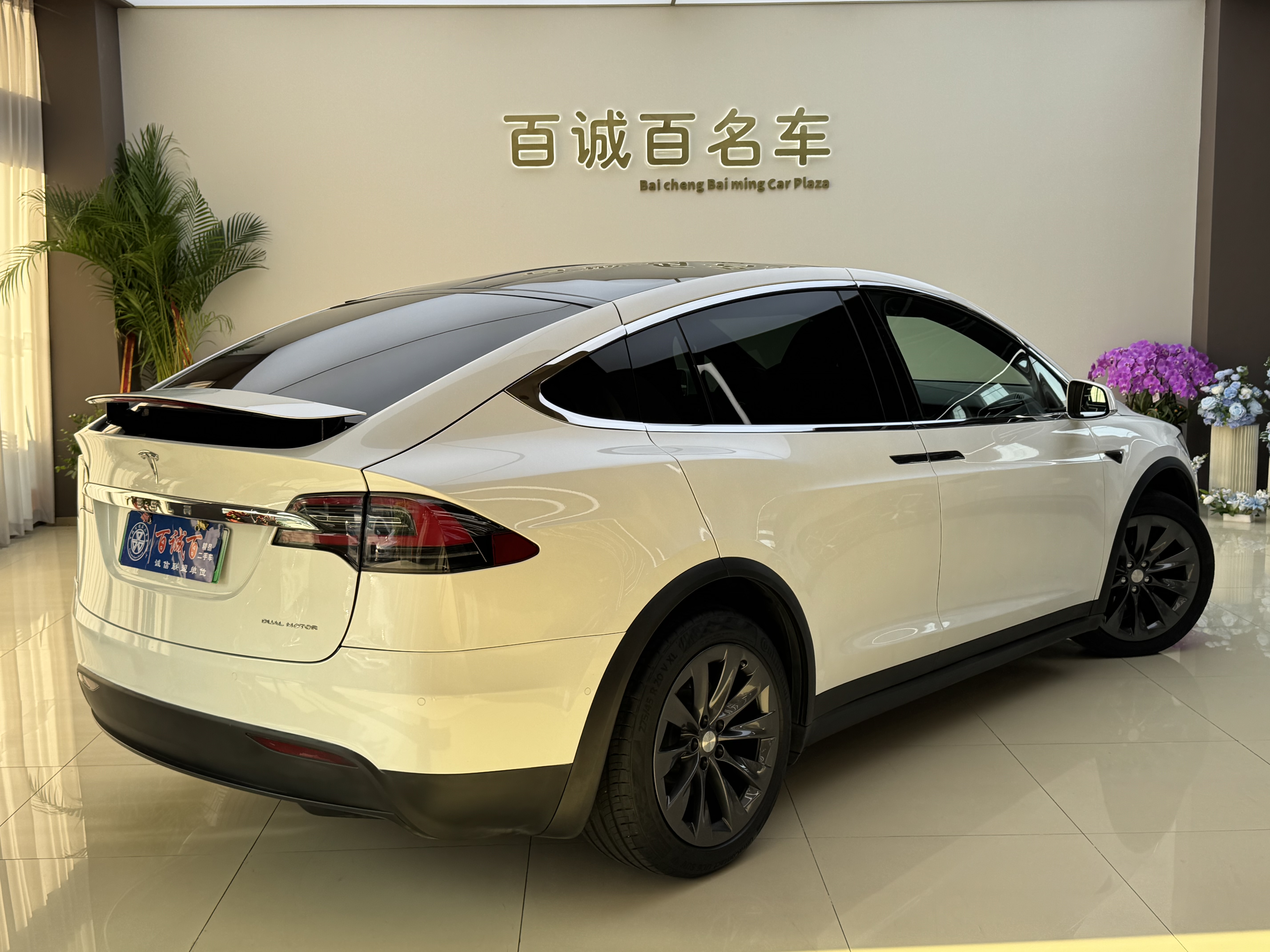 Tesla Model X 2020 #5 Tesla Model X 2020 car image #5