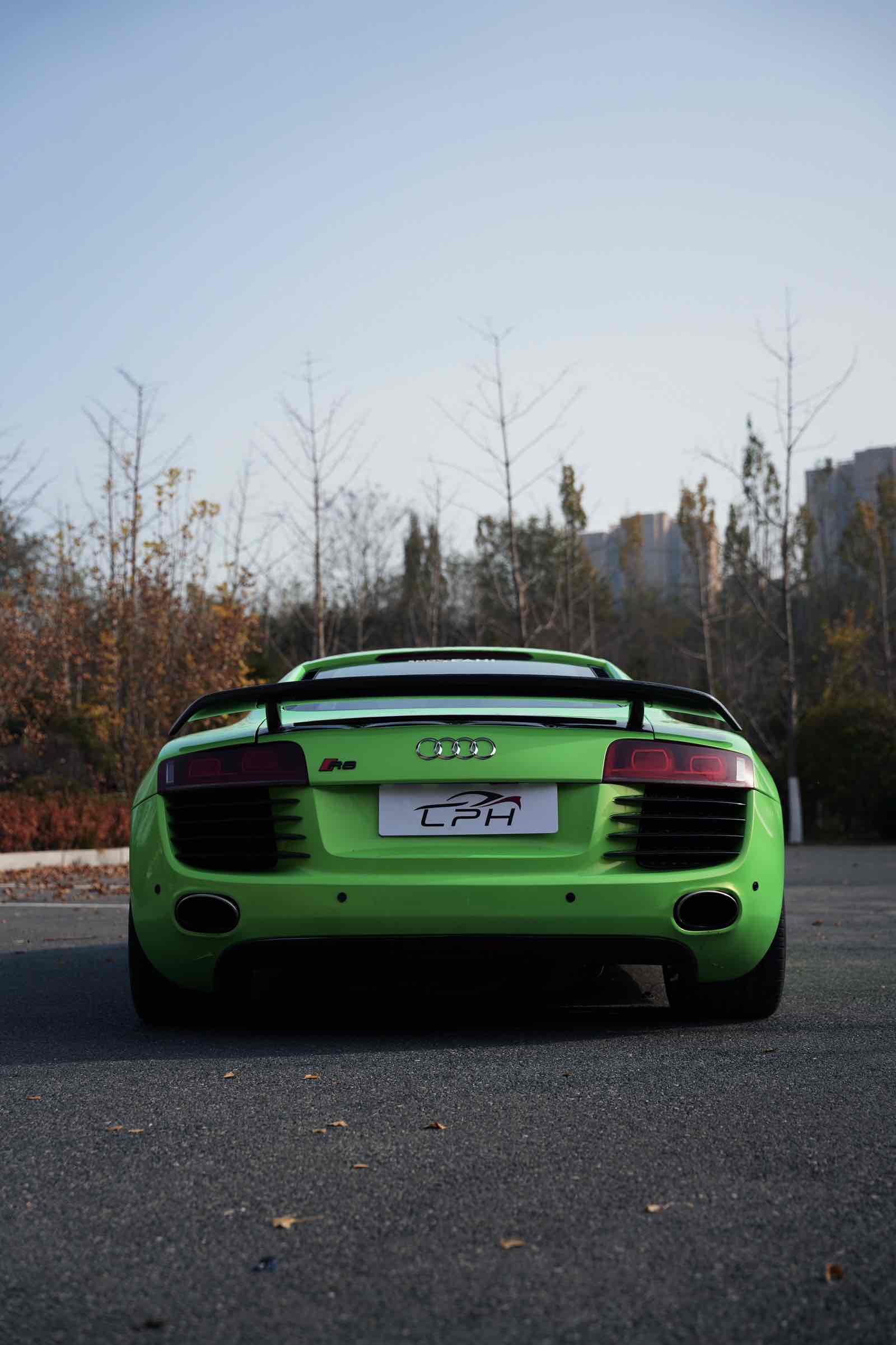 Audi R8 2008 immagine di auto #5