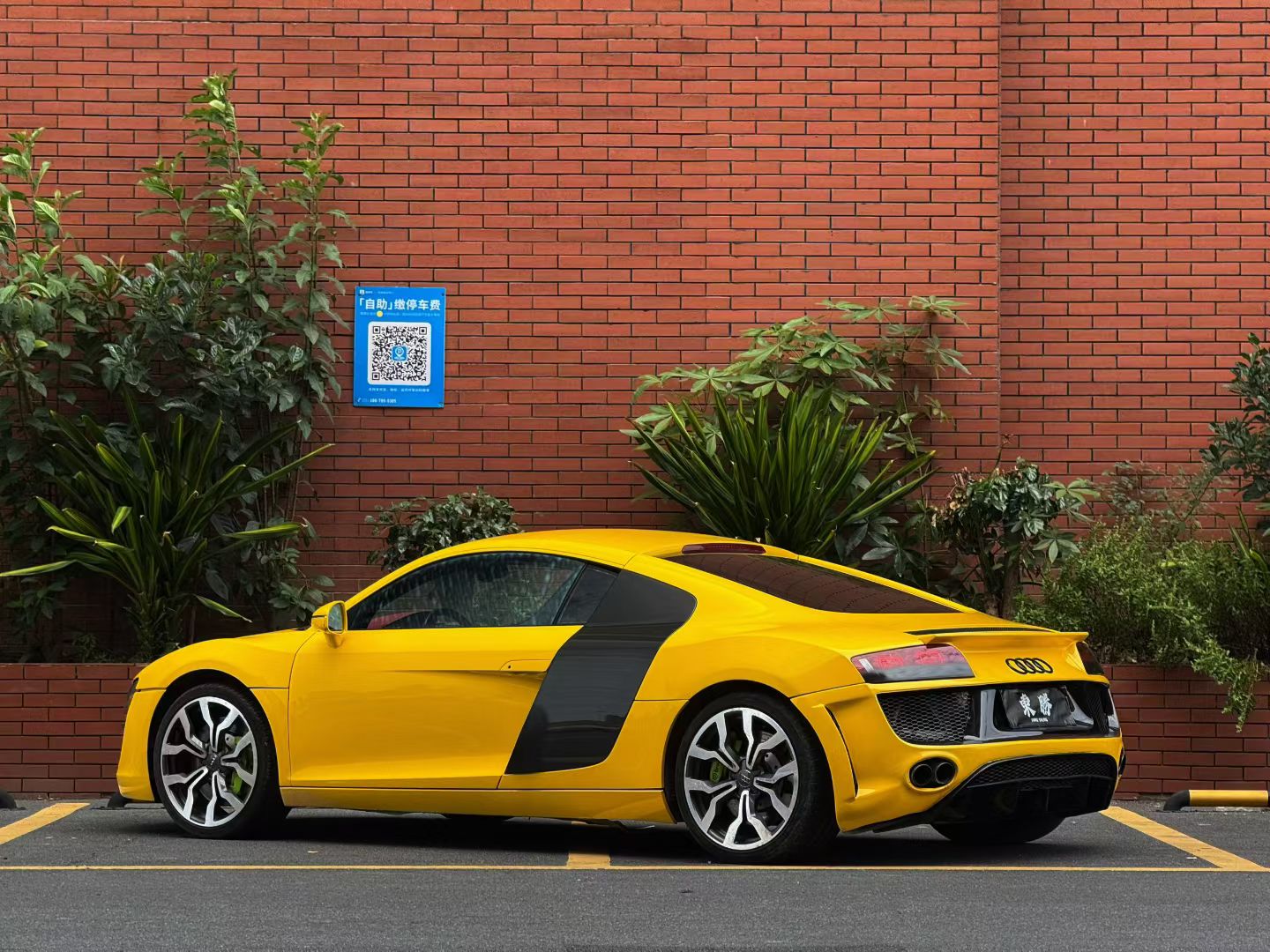 Audi R8 2008 #5 Audi R8 2008 immagine di auto #5