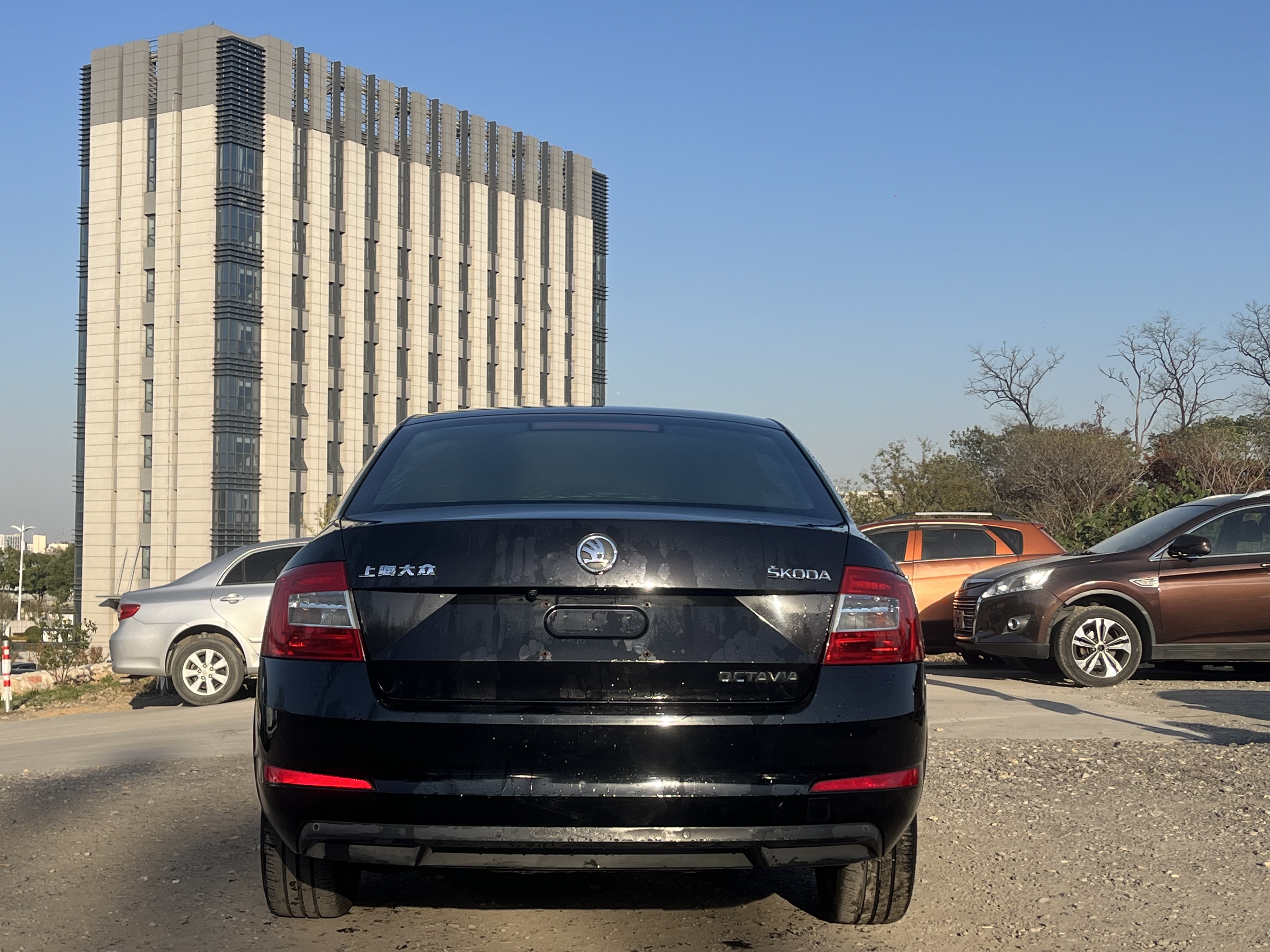 Skoda Octavia 2016 #5 Skoda Octavia 2016 car image #5