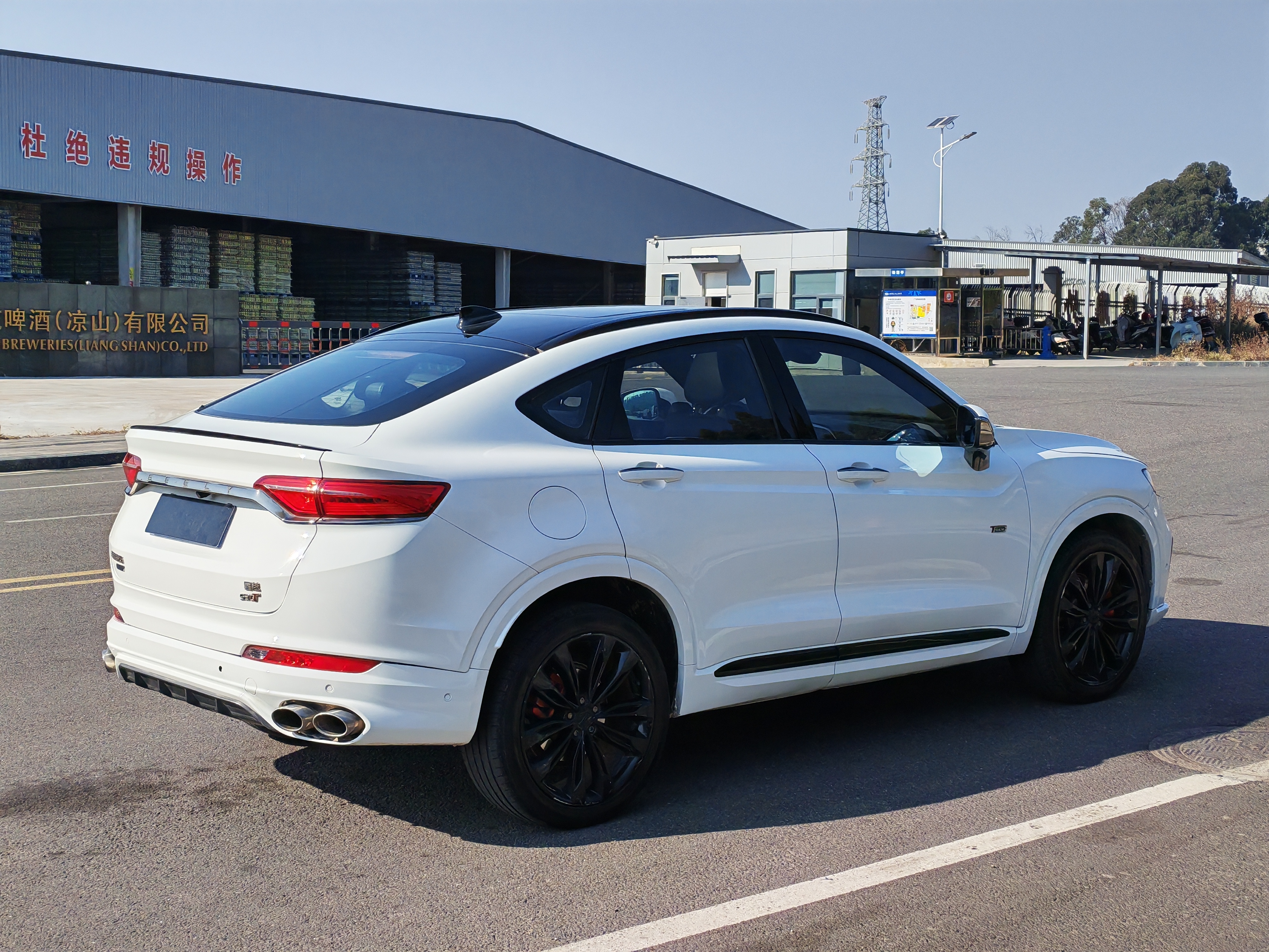 GEELY Tugella 2020 car image #5