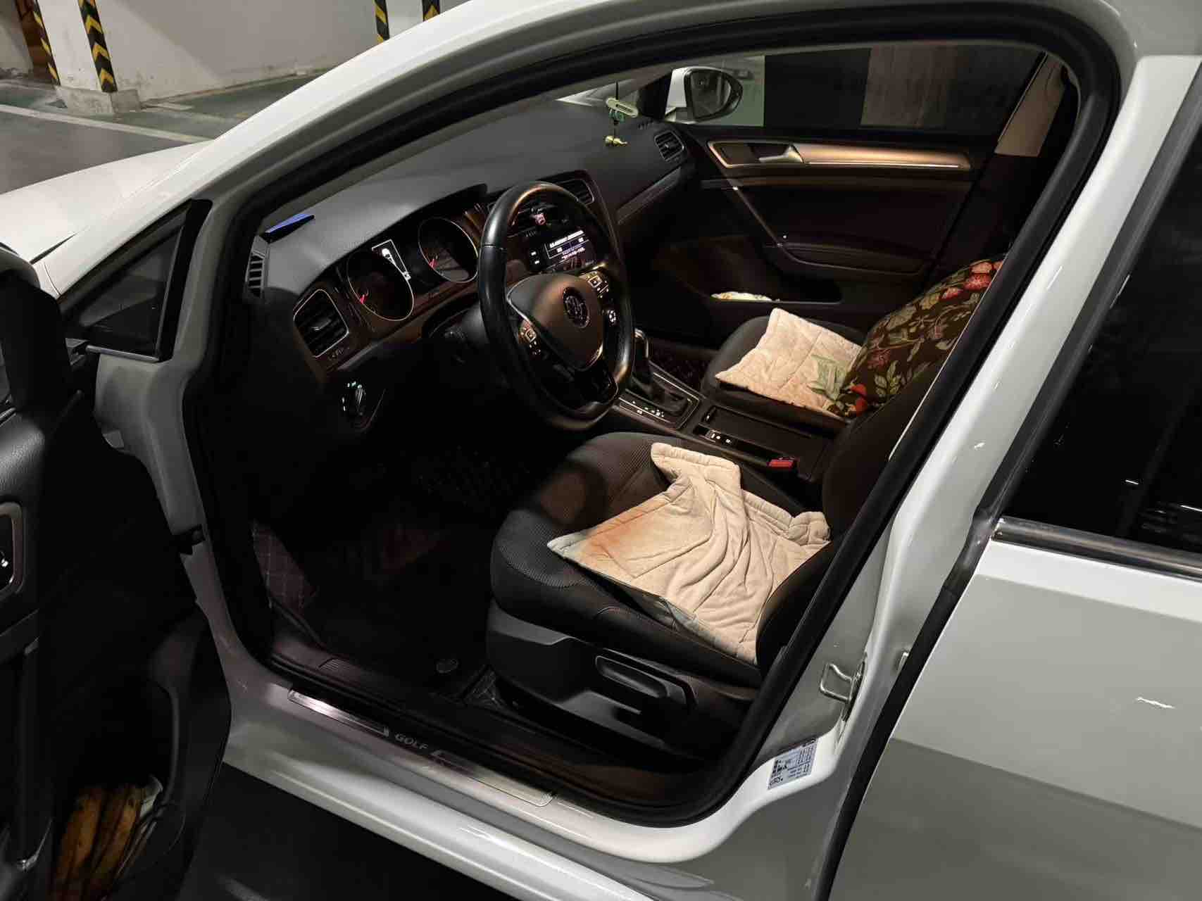 Volkswagen Golf 2019 #5 Volkswagen Golf 2019 car image #5