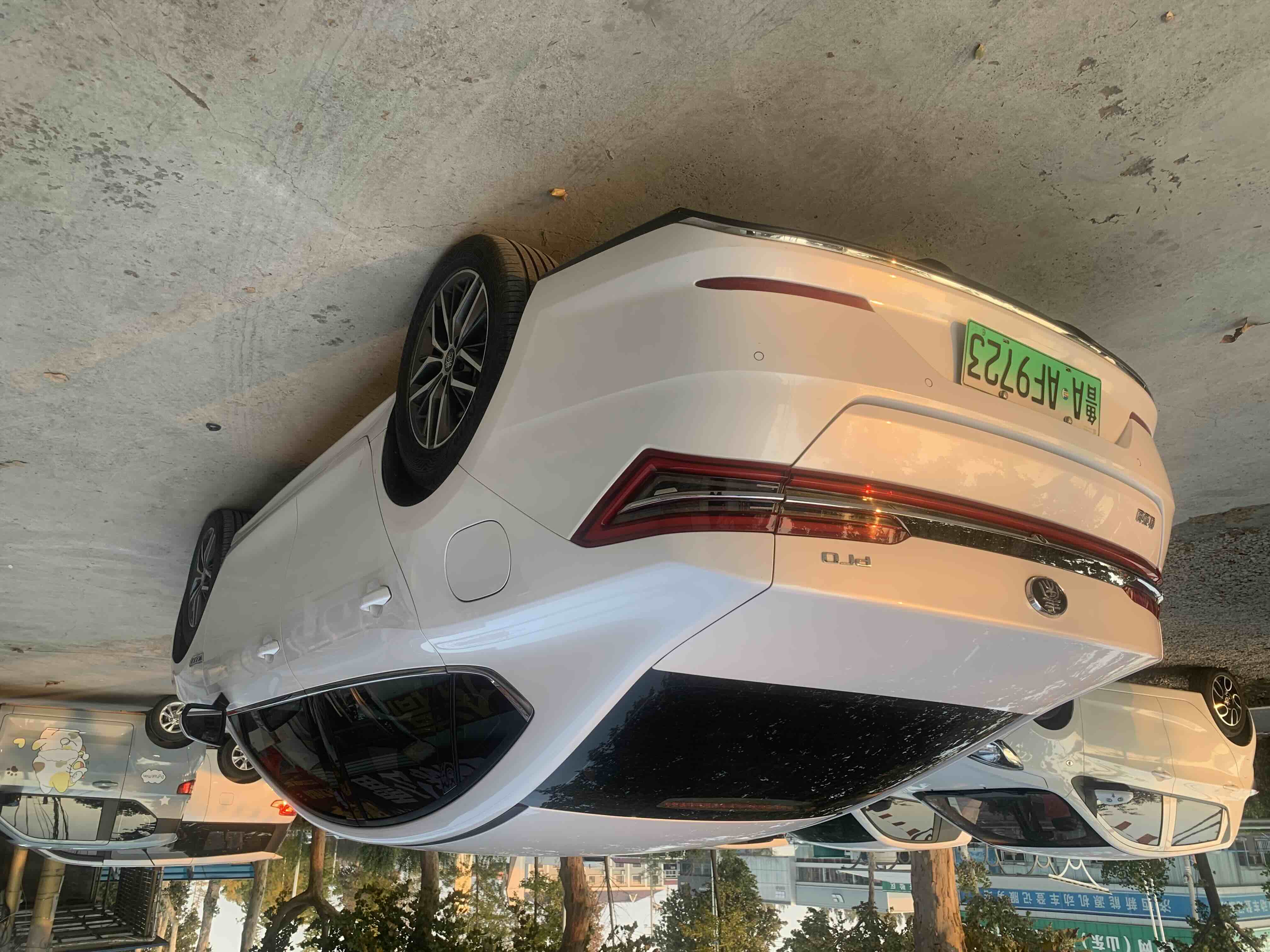 BYD Qin Pro New Energy 2020 #5 BYD Qin Pro New Energy 2020 immagine di auto #5