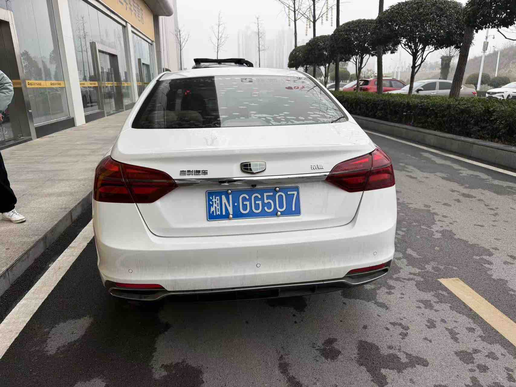 Emgrand 2019 #5 Emgrand 2019 car image #5