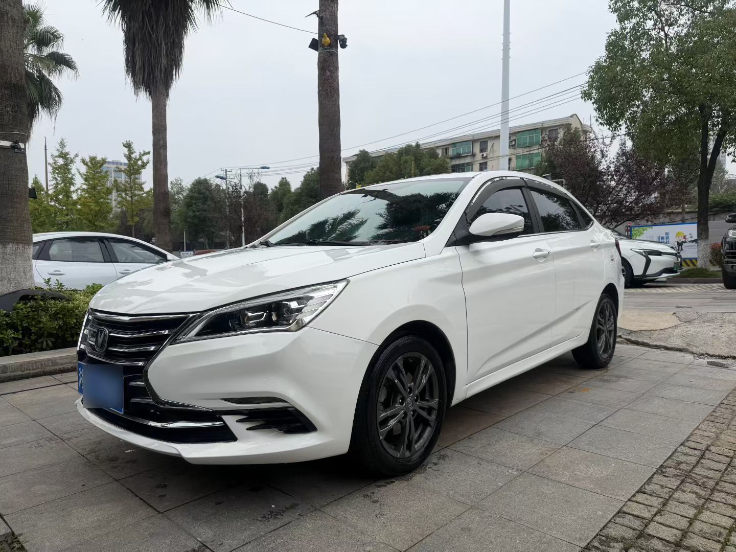 Changan Eado DT 2019 car image #5
