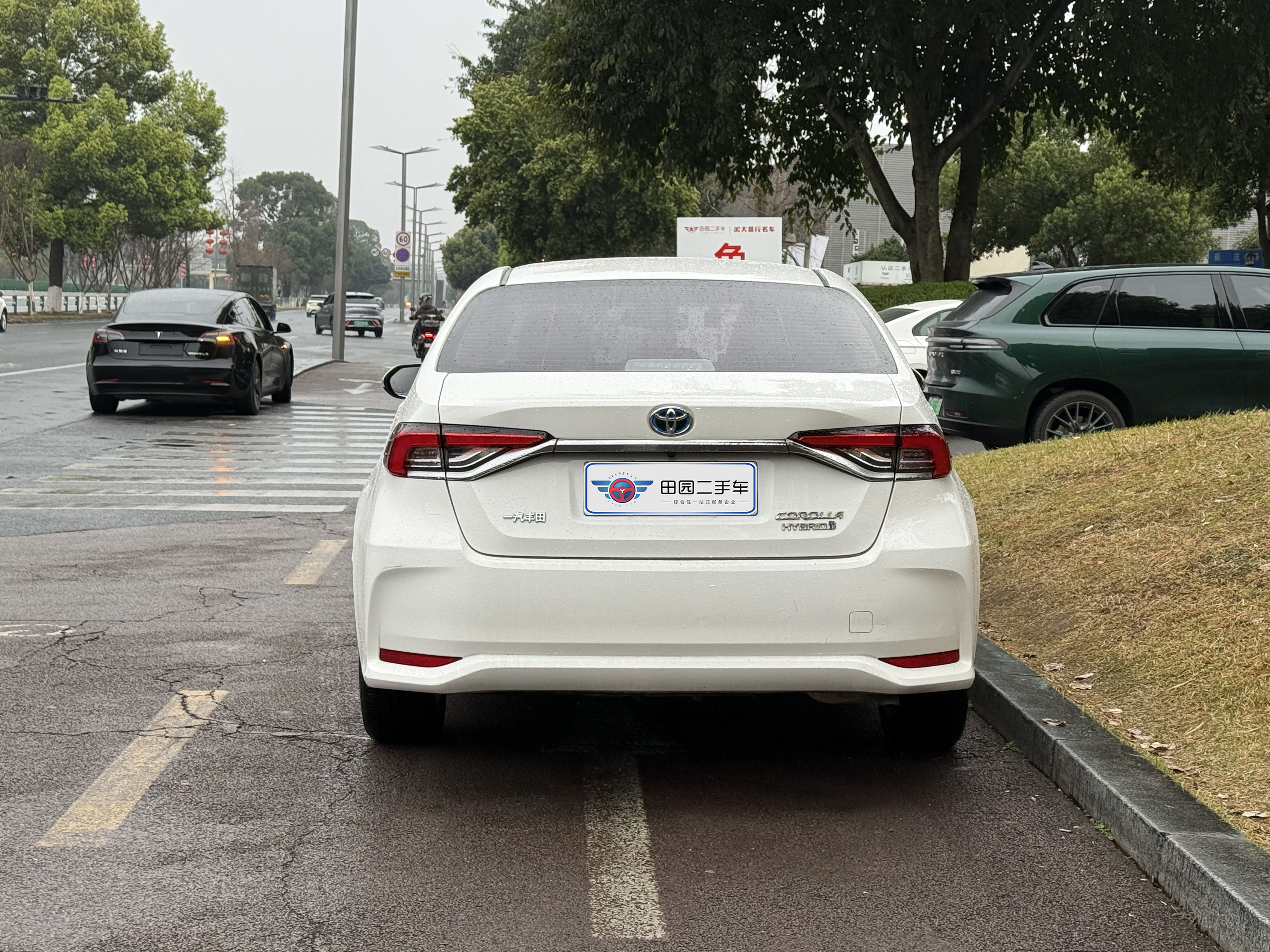 Corolla 2019 car image #5