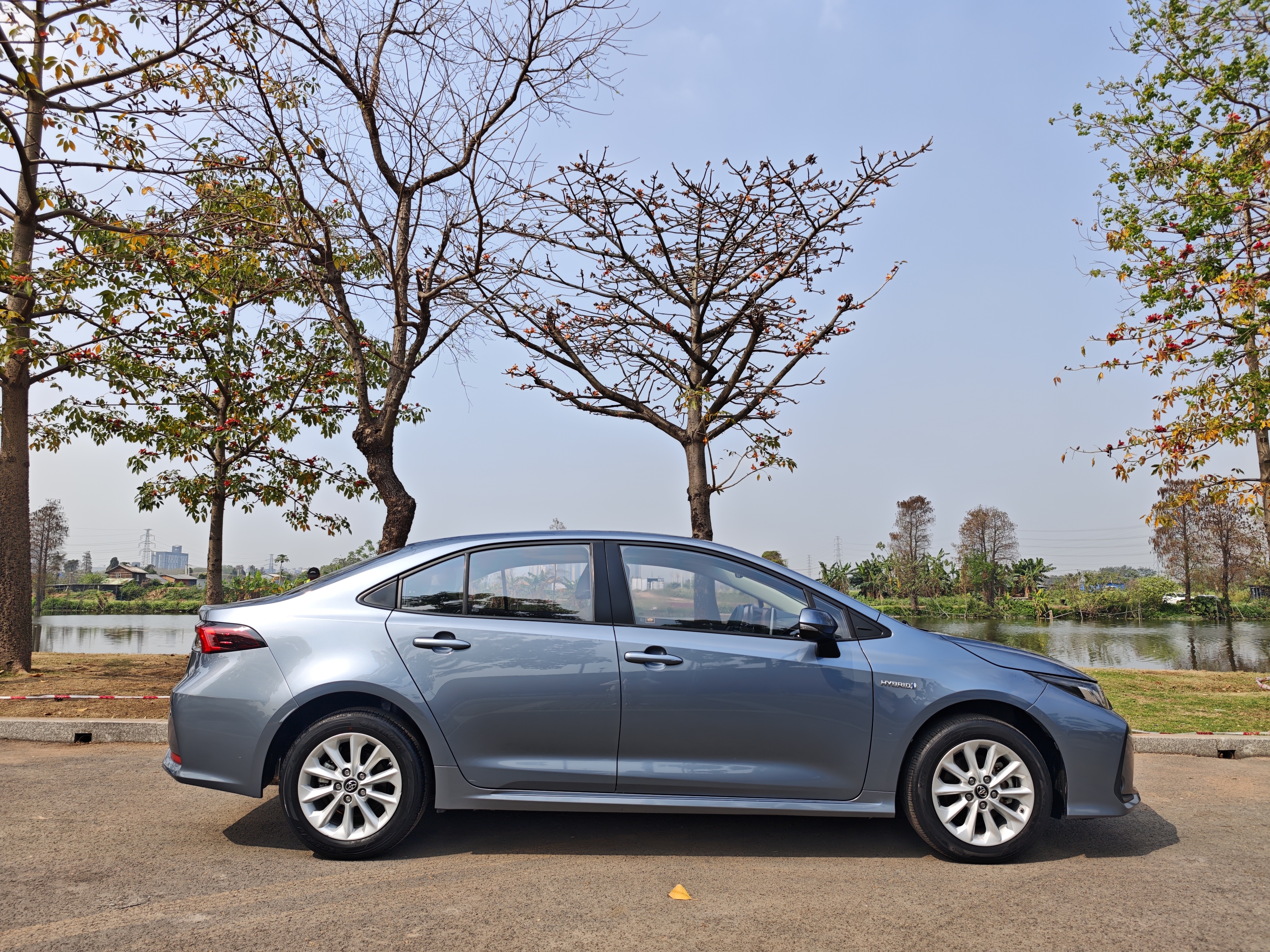 Toyota Corolla 2020 car image #5