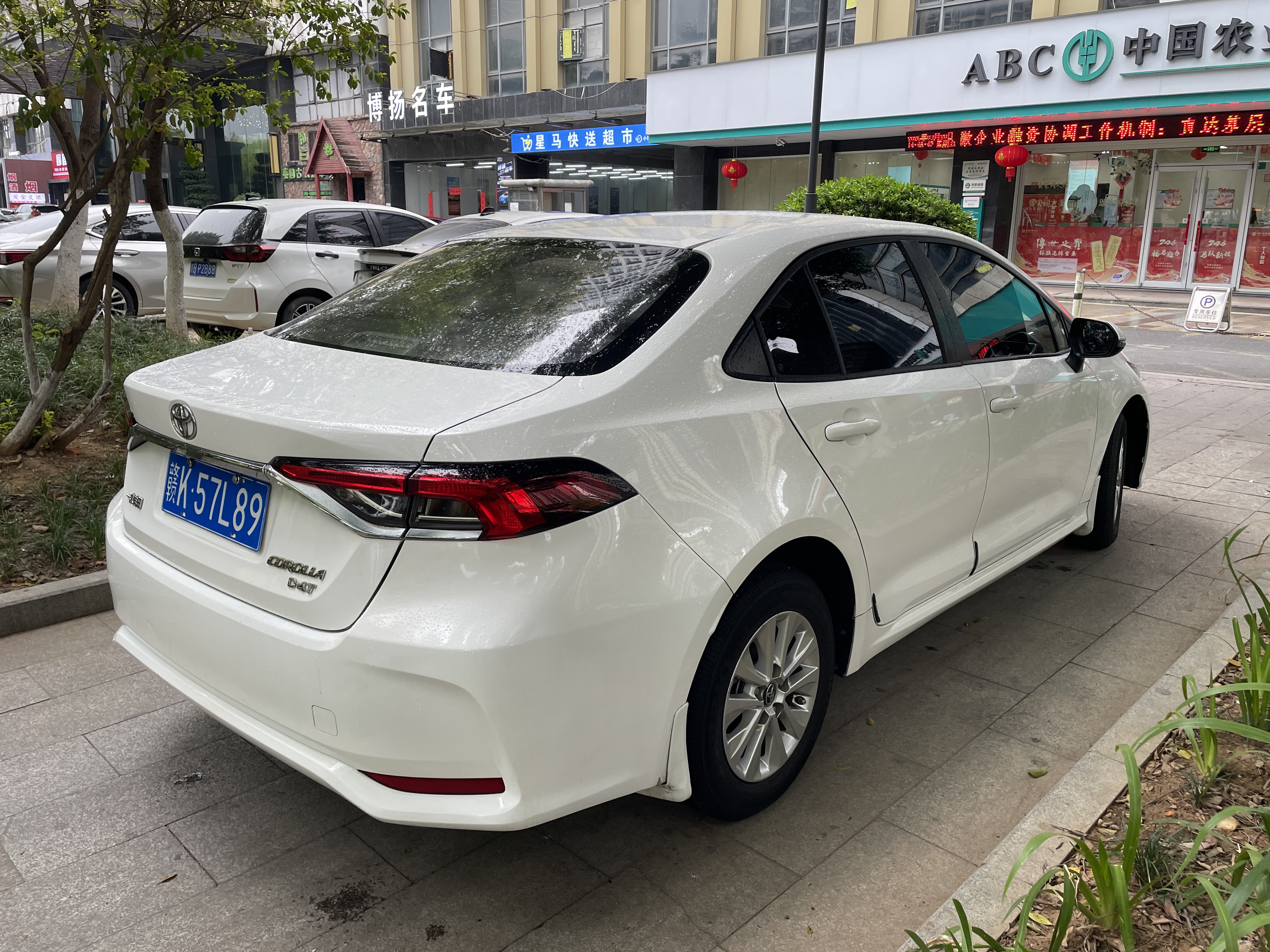 Corolla 2021 car image #5
