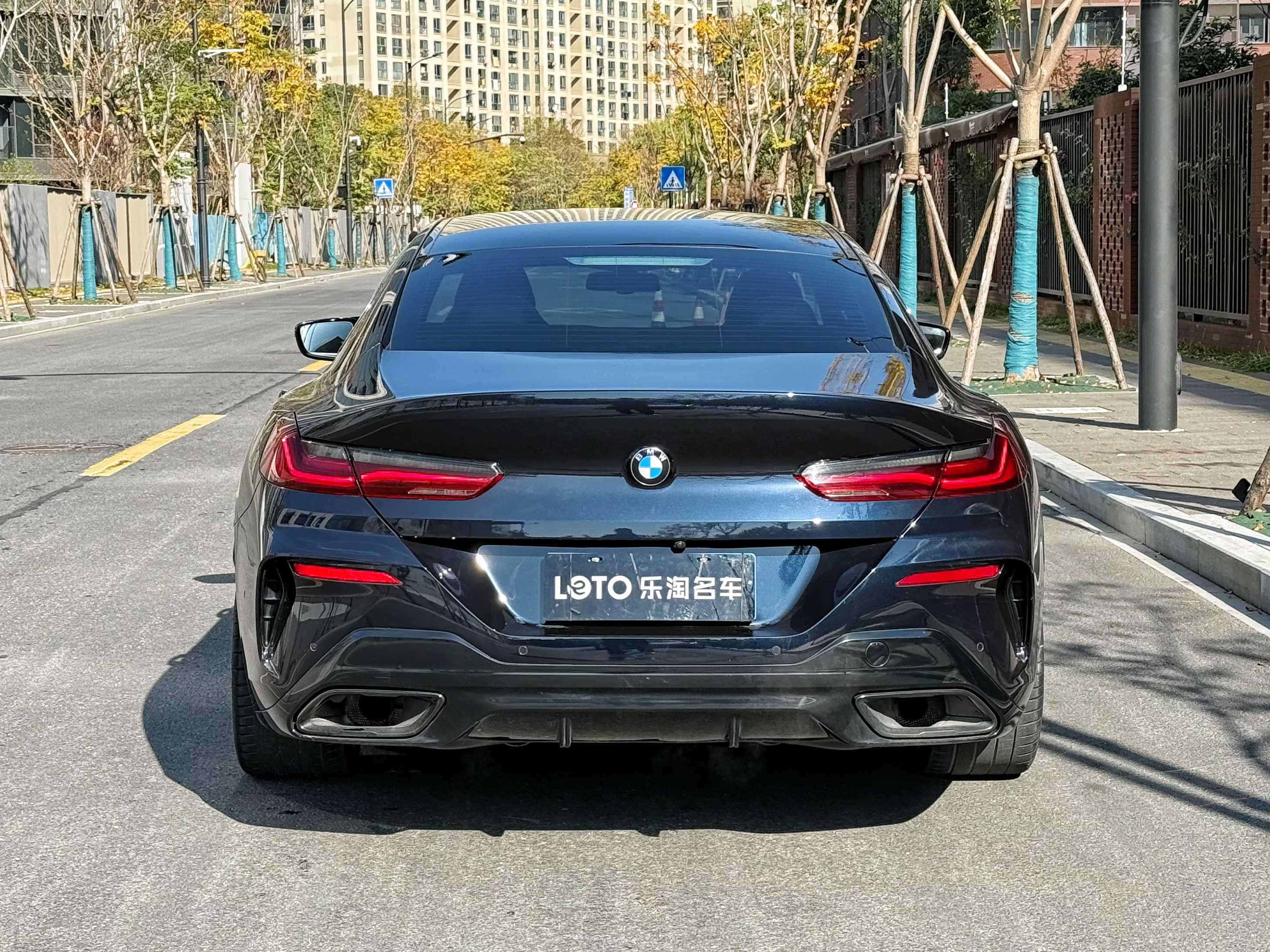 BMW 8 Series 2020 #5 BMW 8 Series 2020 car image #5