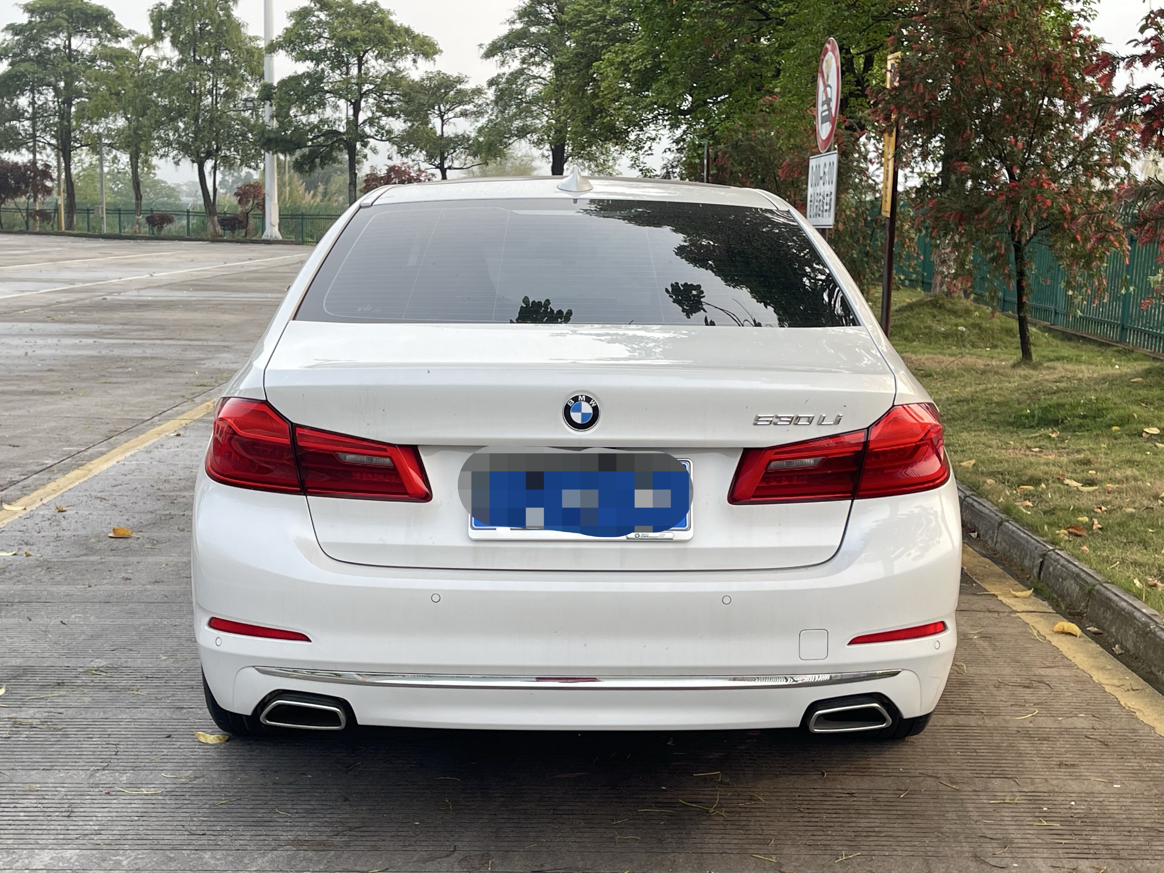 BMW 5 Series 2020 car image #5