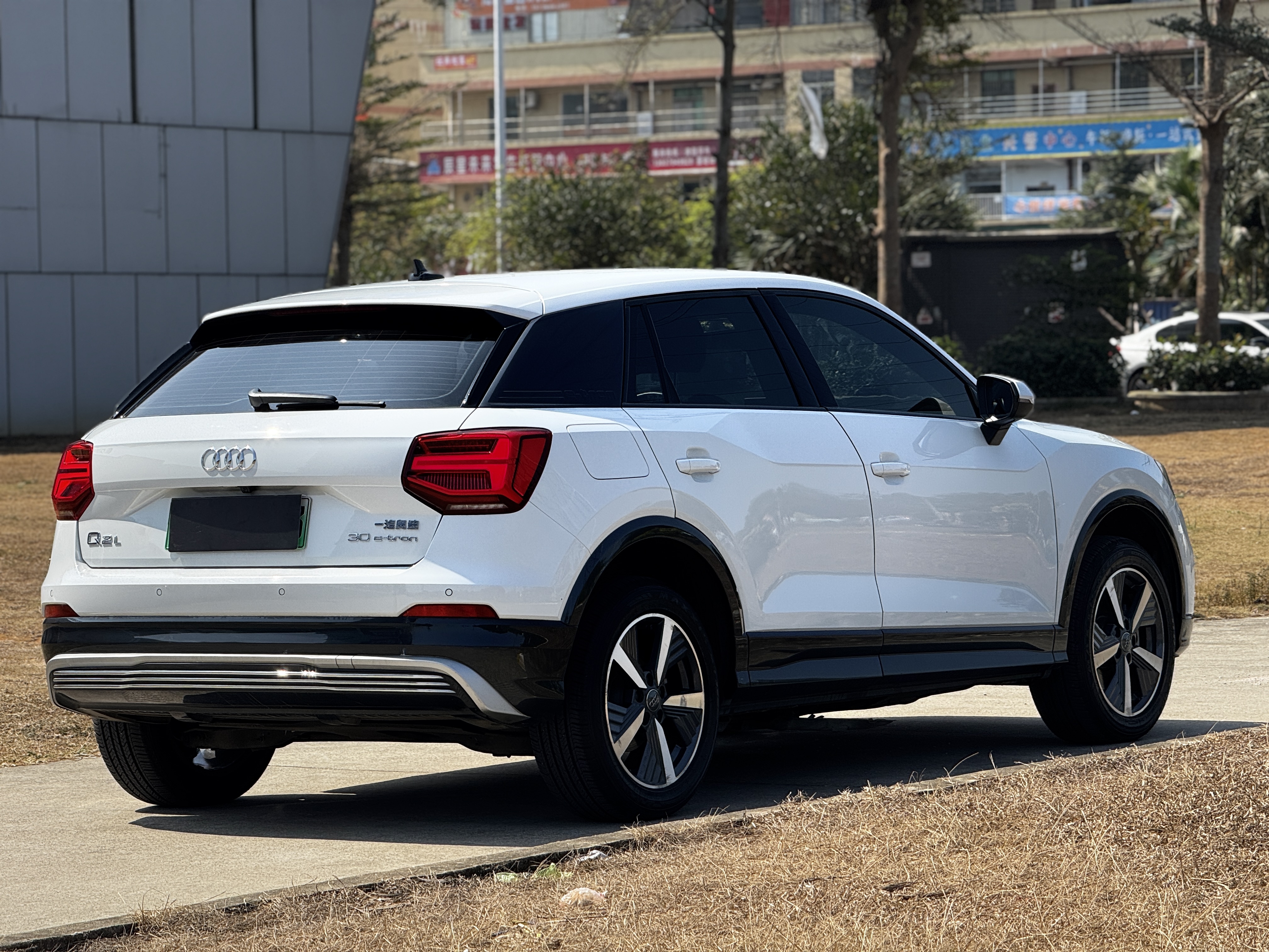 Audi Q2L e-tron 2020 car image #5