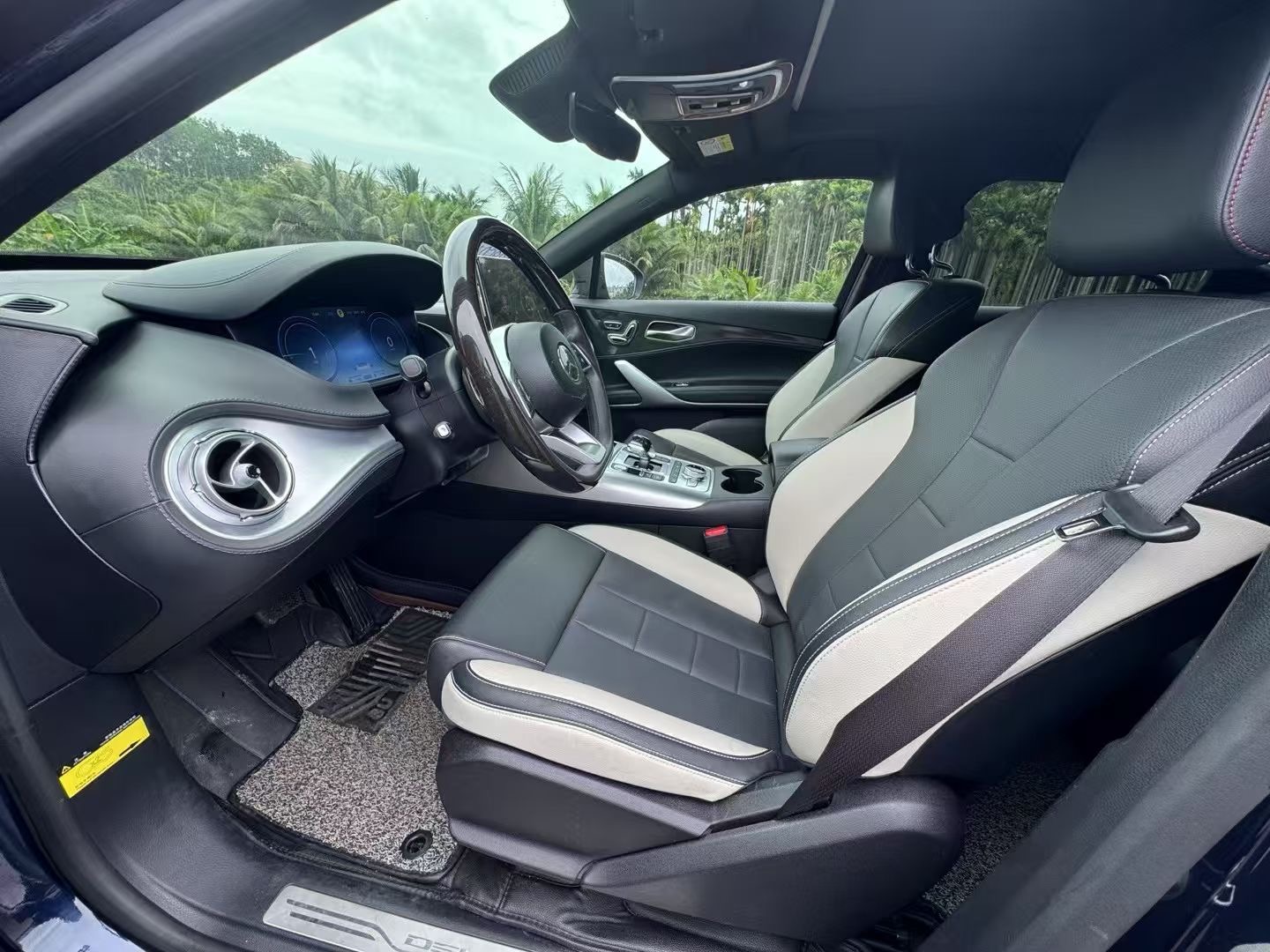 Denza N8L 2020 car image #5