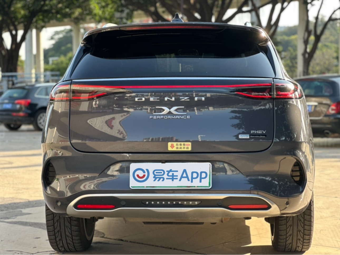 Denza X 2021 immagine di auto #5