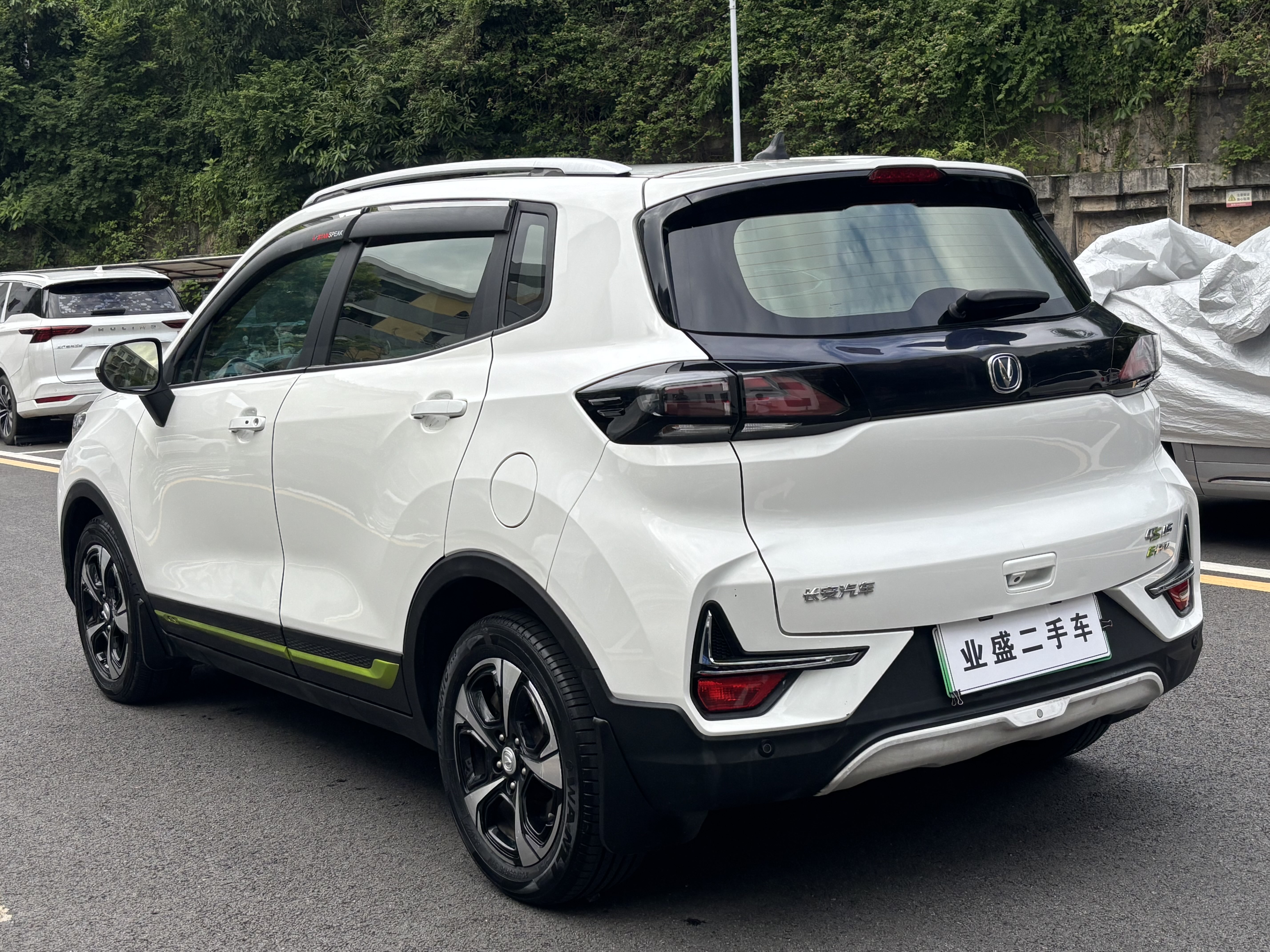 Changan E-Pro New Energy 2020 car image #5