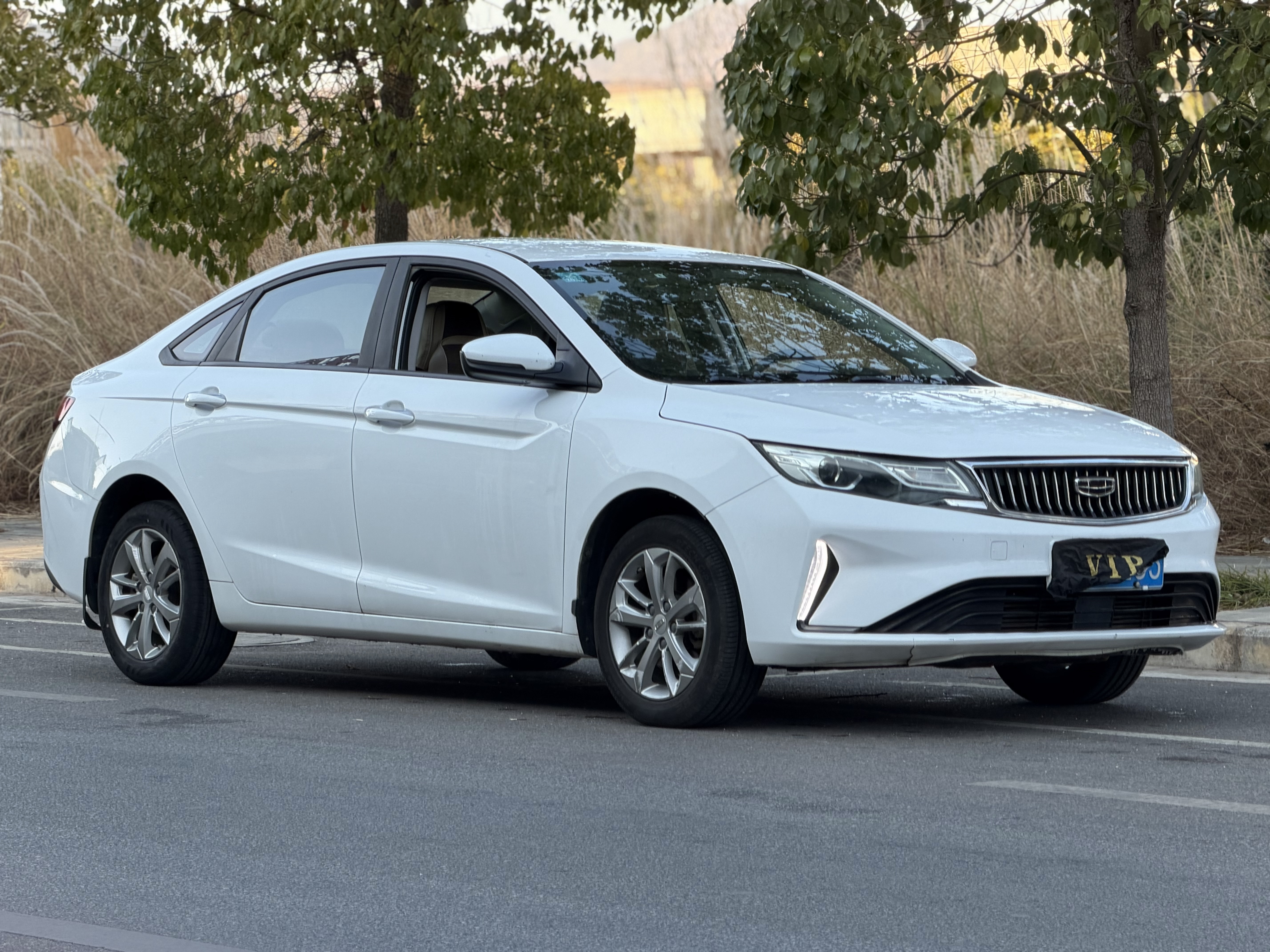 Emgrand GL 2020 #5 Emgrand GL 2020 car image #5