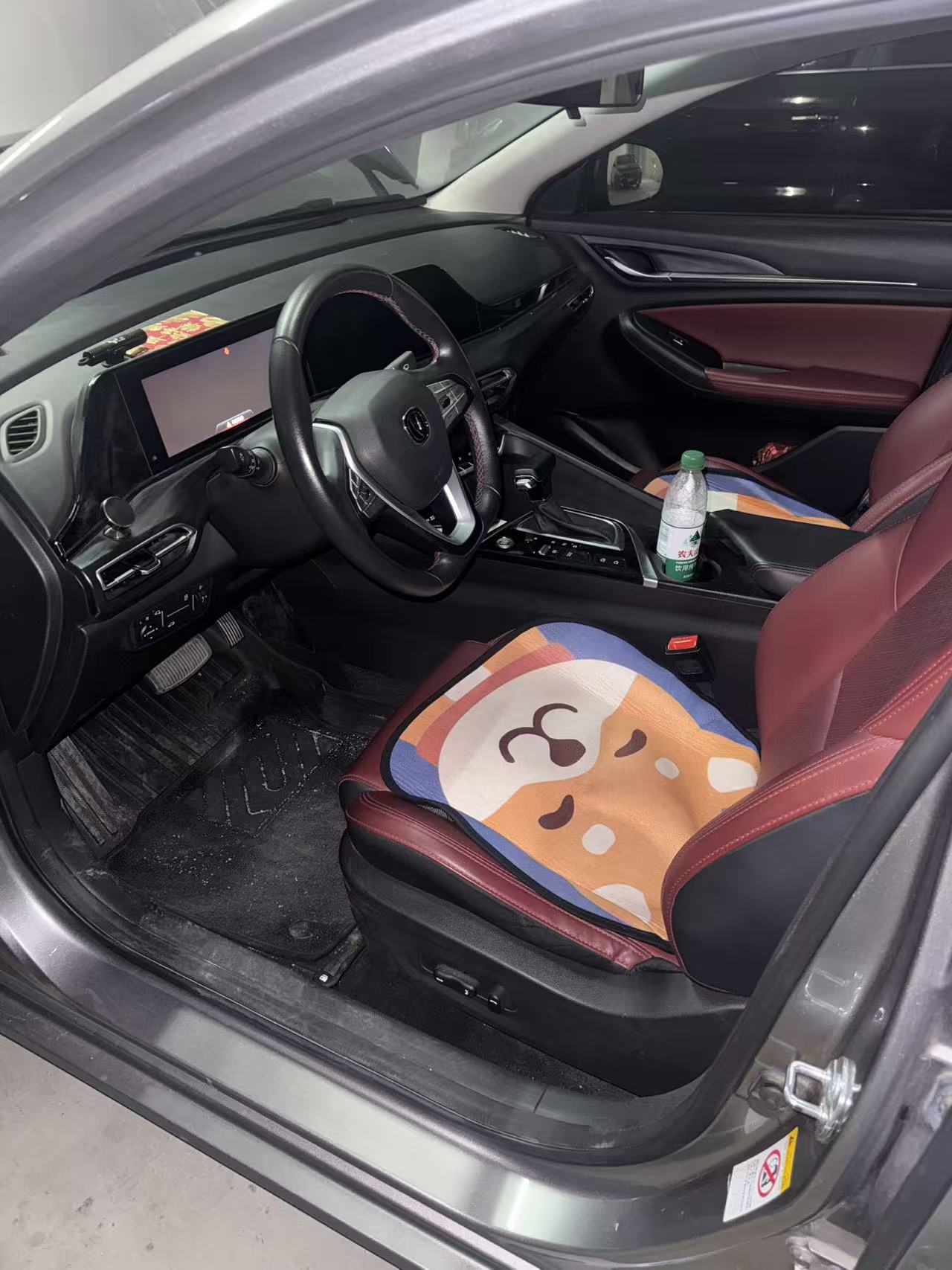 Changan Eado 2020 imagen de coche #5