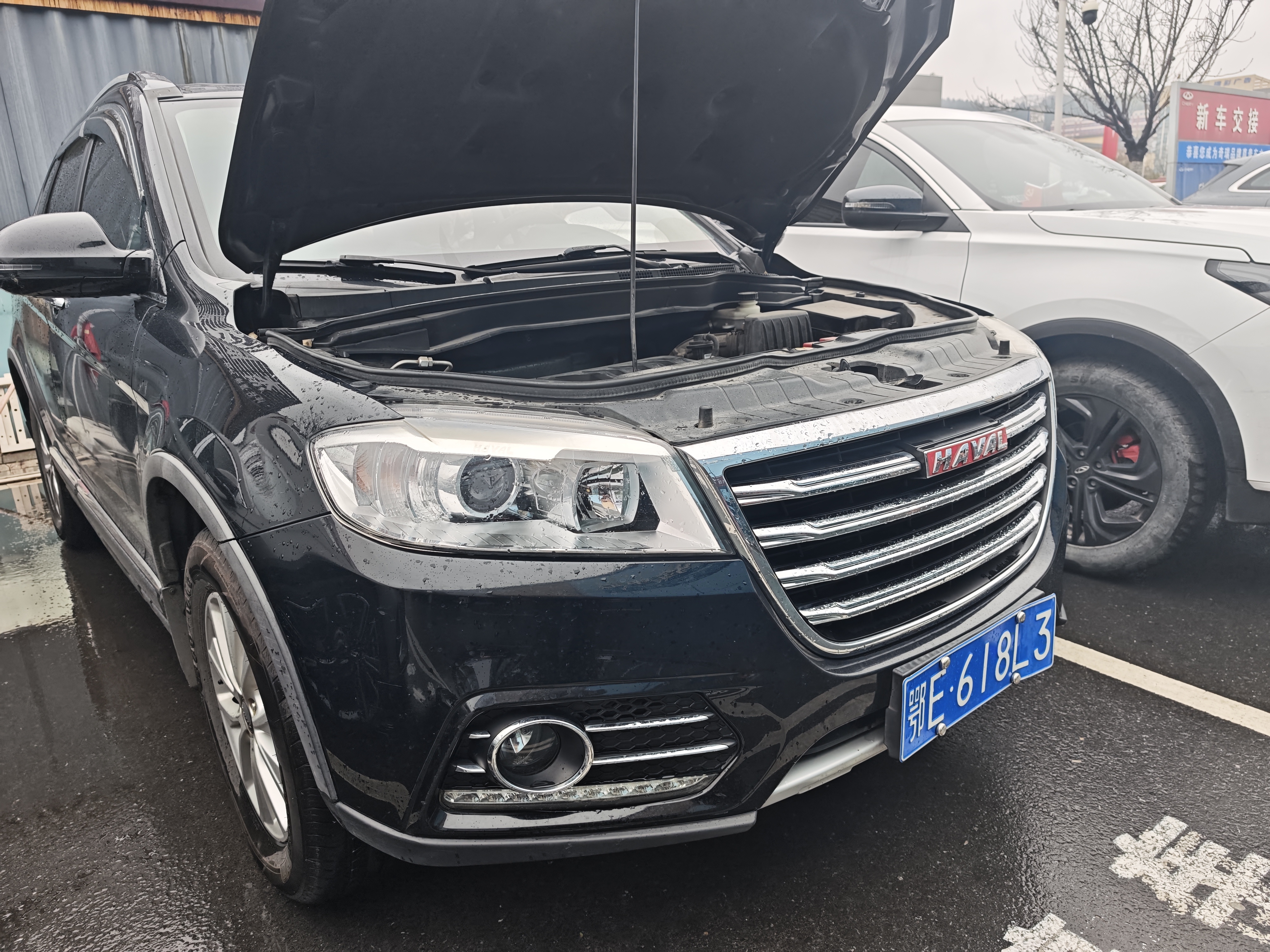 Haval H6 2018 car image #5