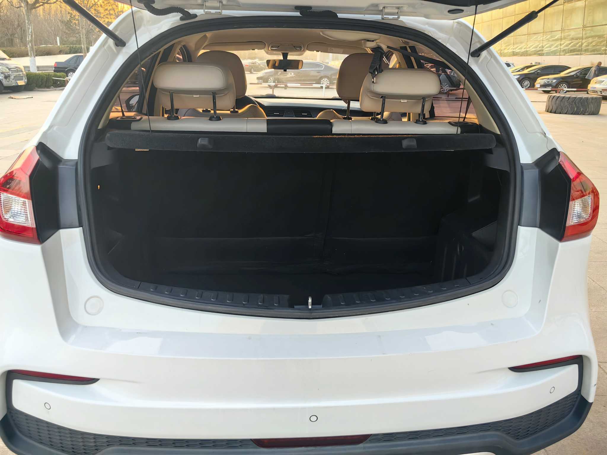 睿蓝汽车 枫叶30X 2020 汽车图片 #5