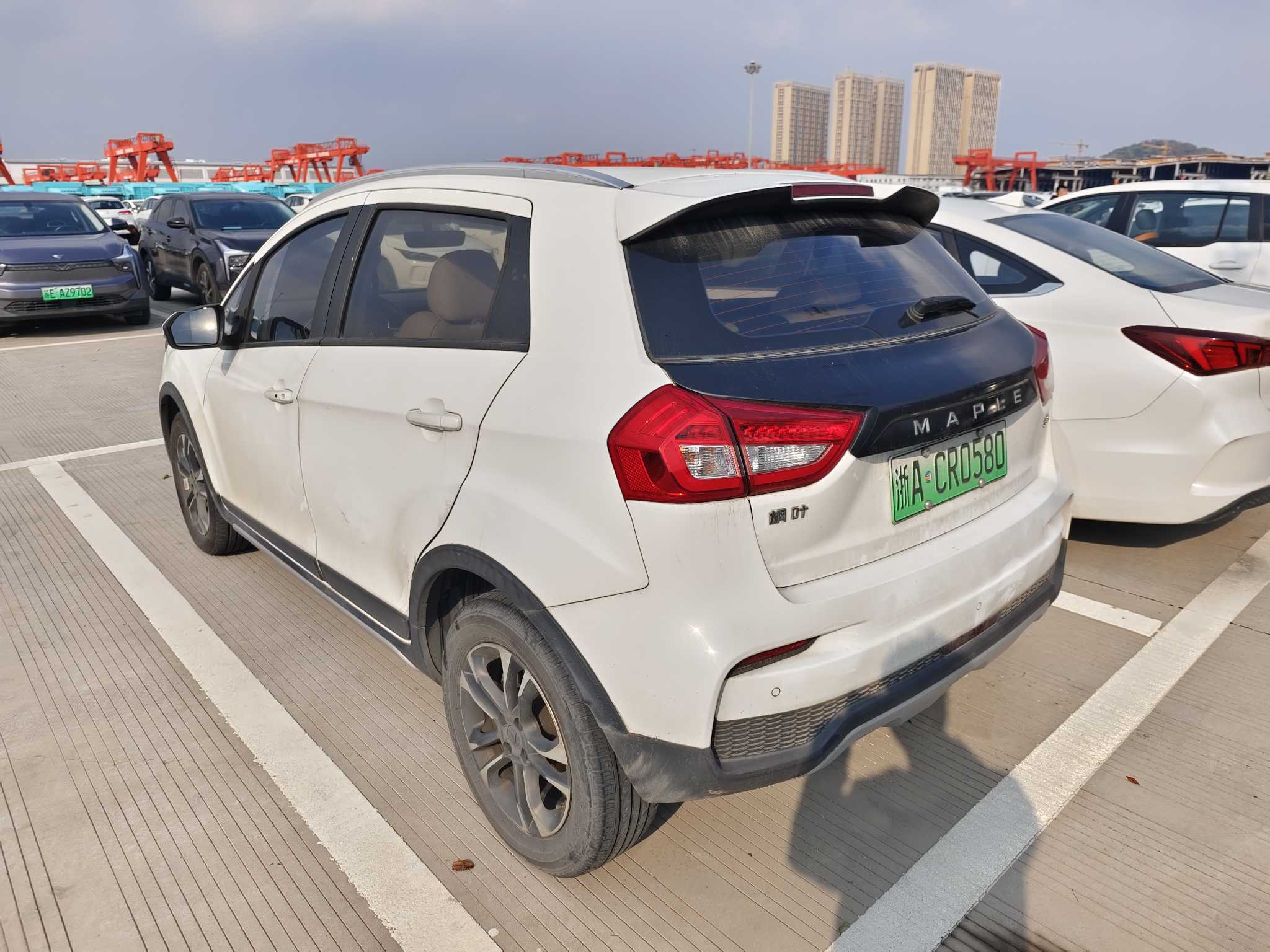 睿蓝汽车 枫叶30X 2021 汽车图片 #5