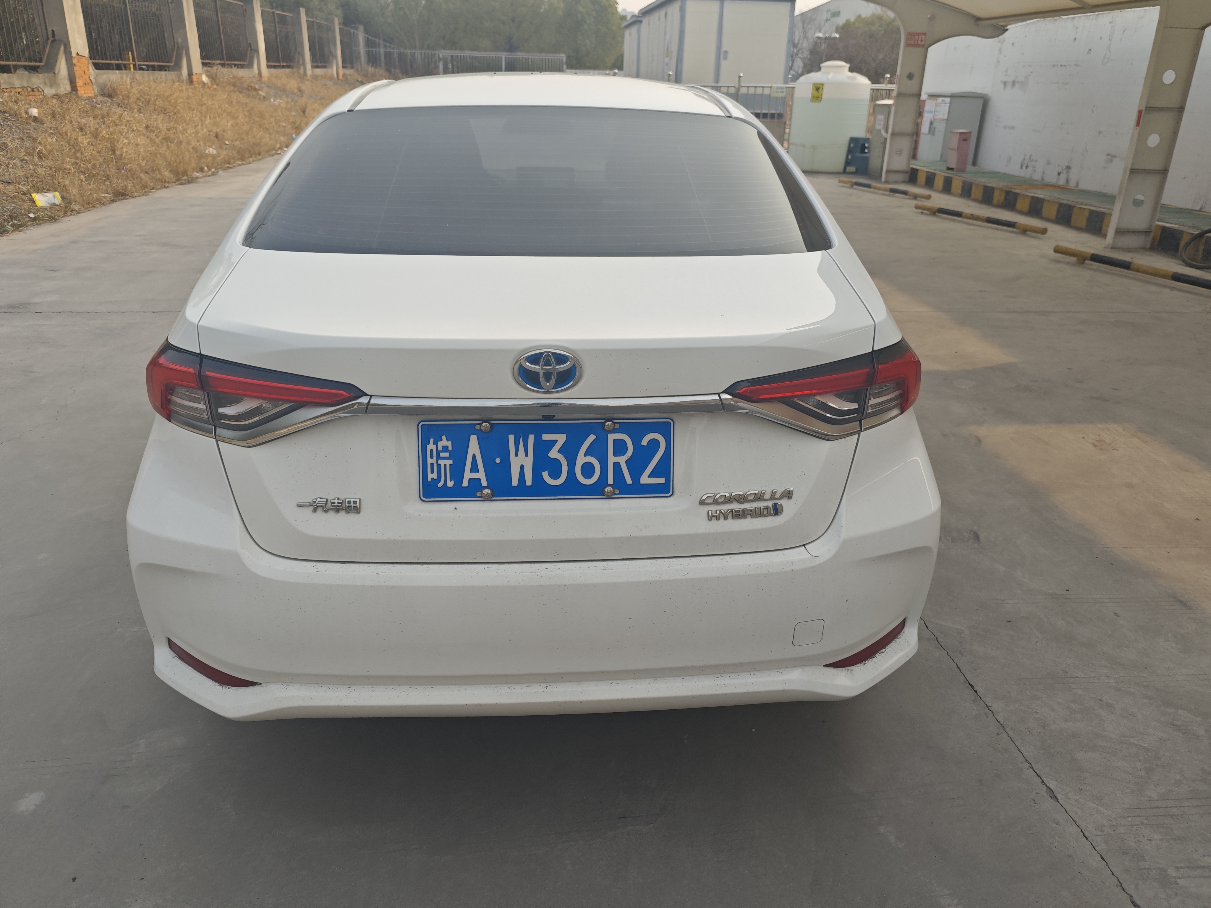 Corolla 2023 immagine di auto #5