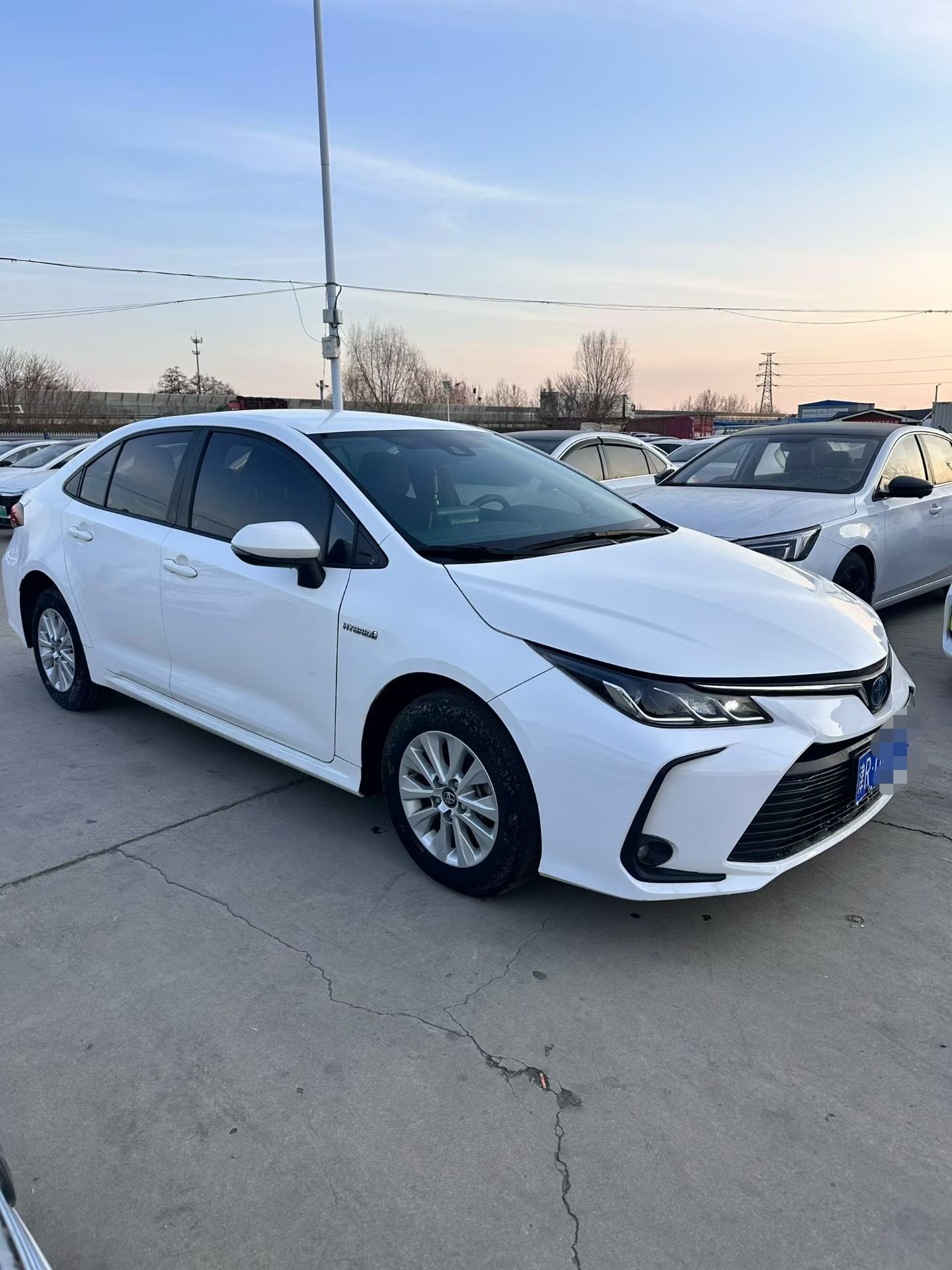 Corolla 2021 #5 Corolla 2021 car image #5