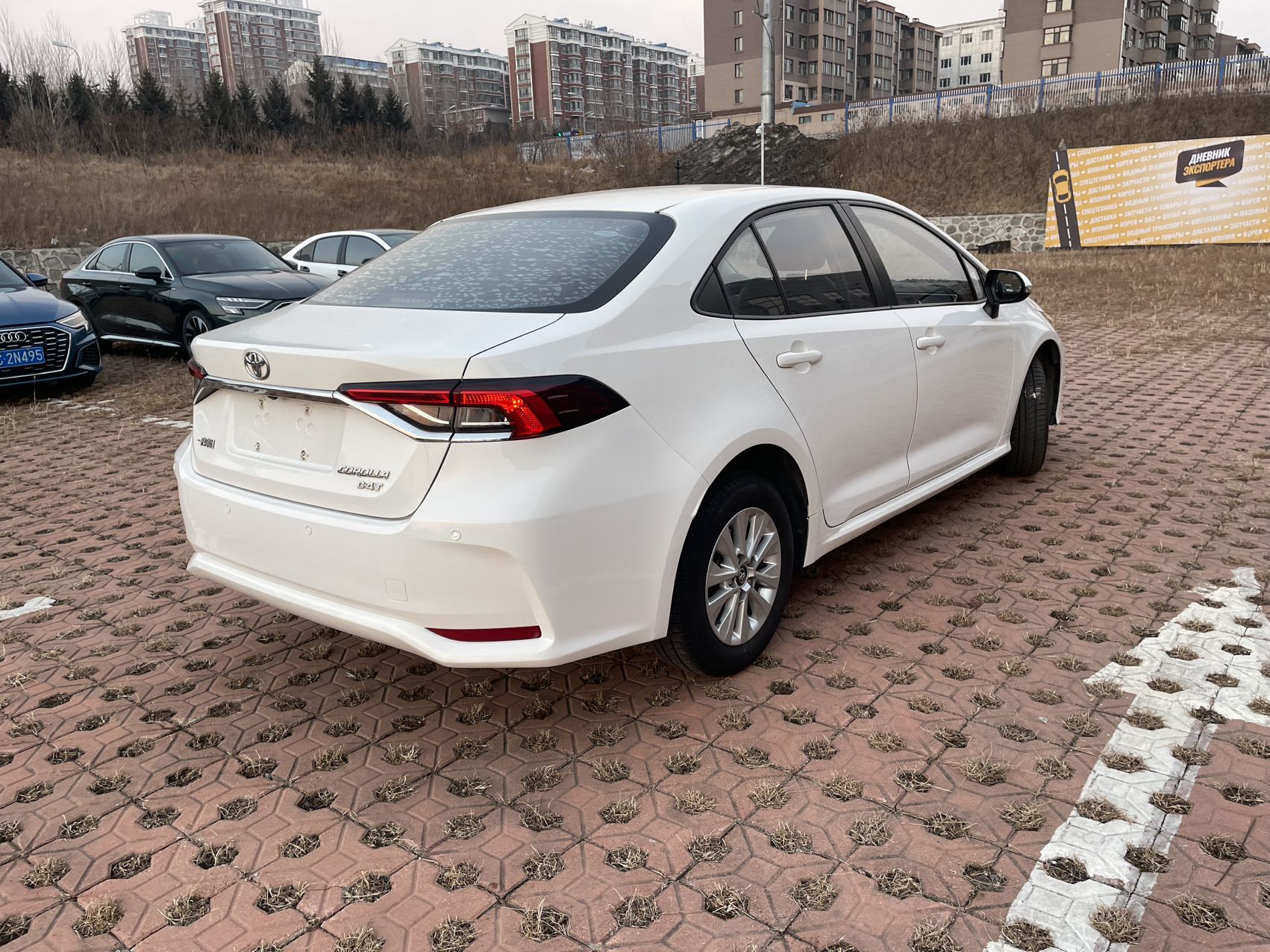 Corolla 2022 car image #5