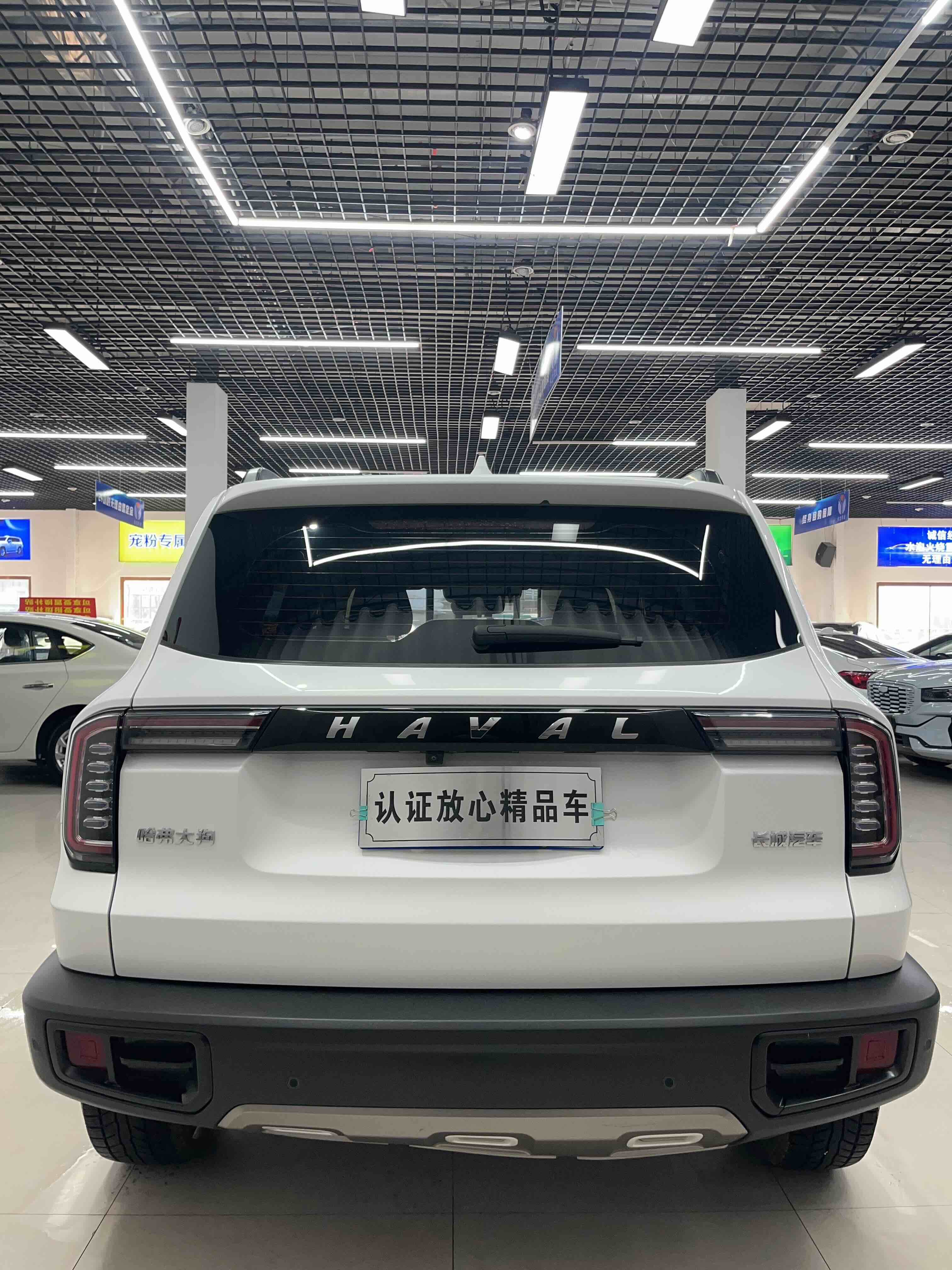 Haval X Dog / Dargo 2021 car image #5