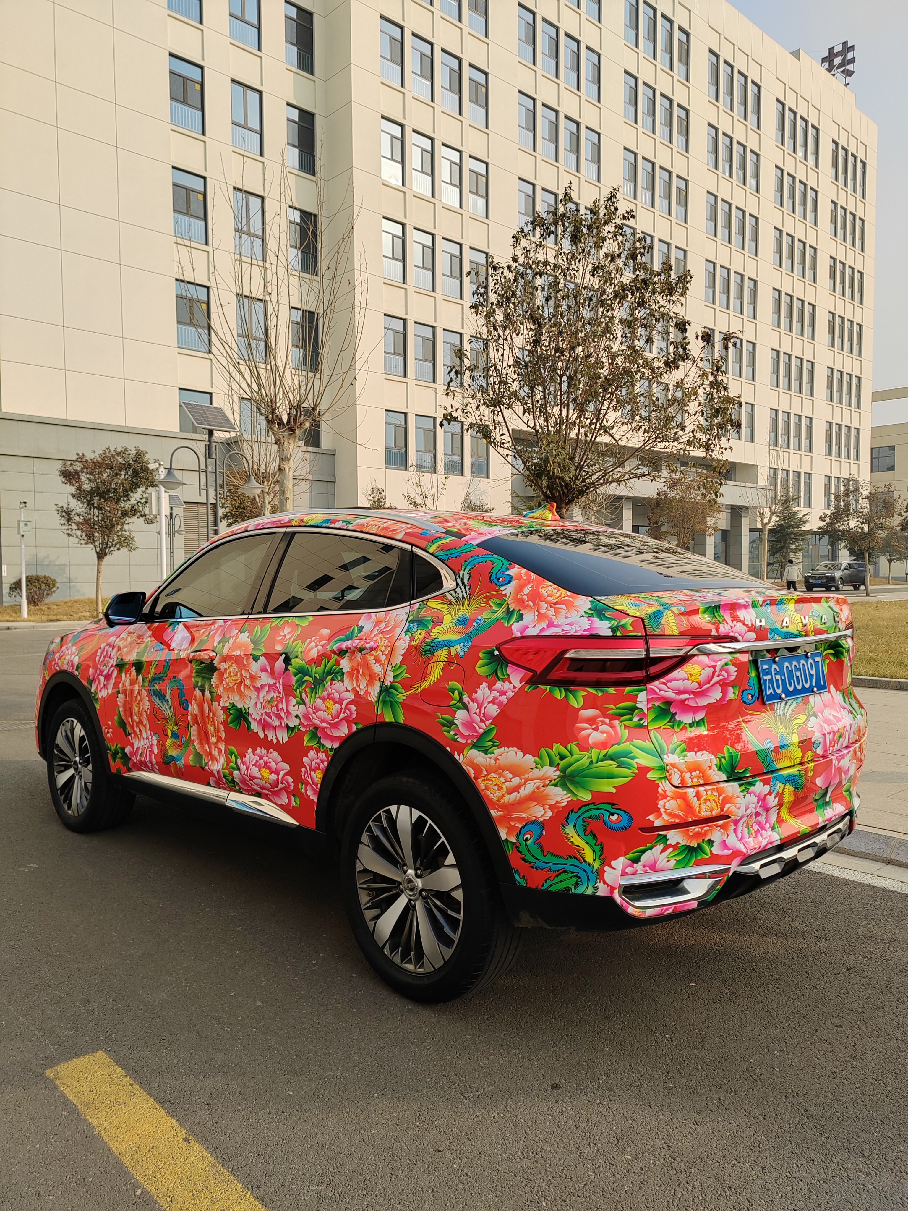 Haval F7x 2019 car image #5