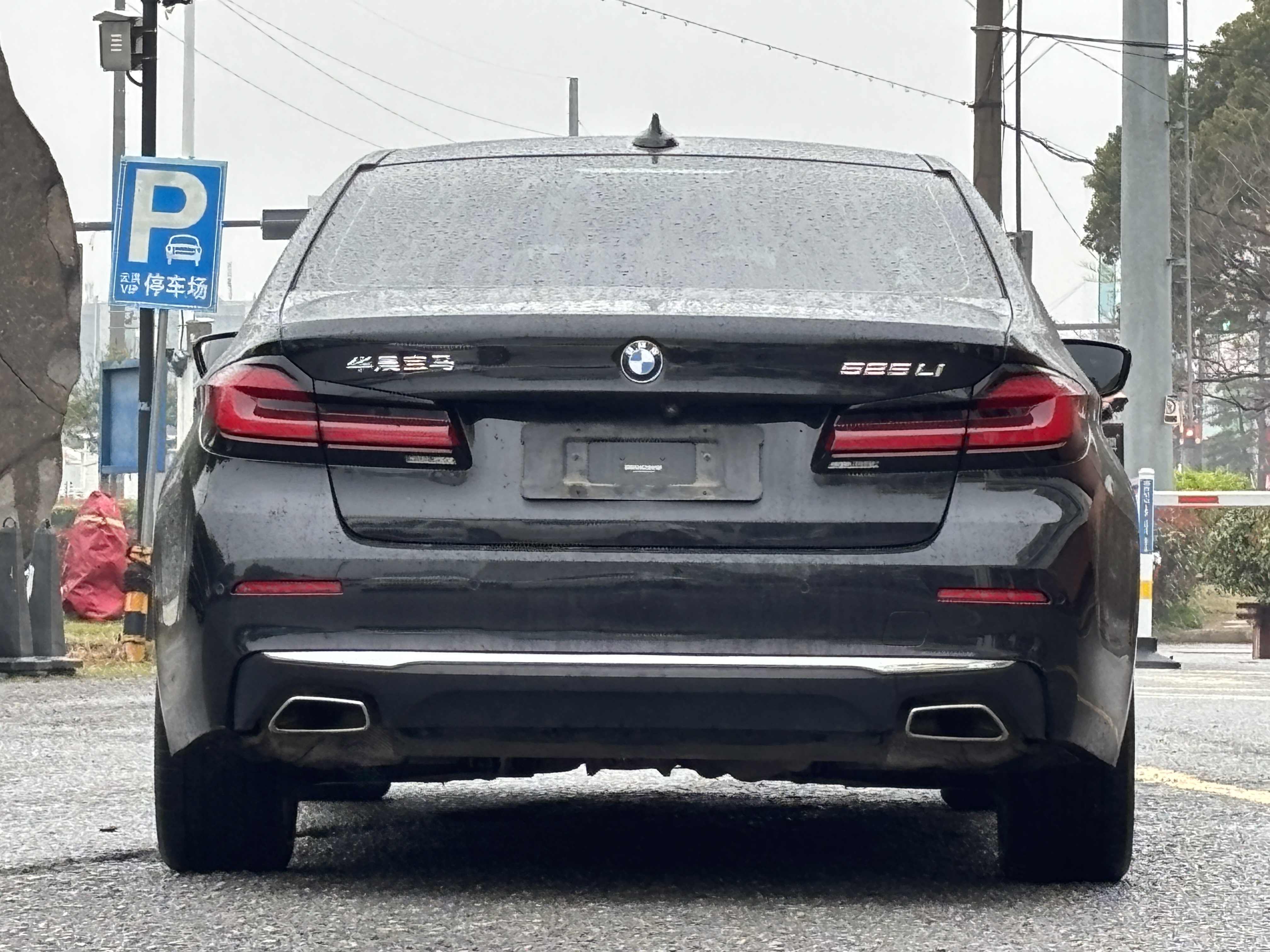 BMW 5 Series 2021 car image #5