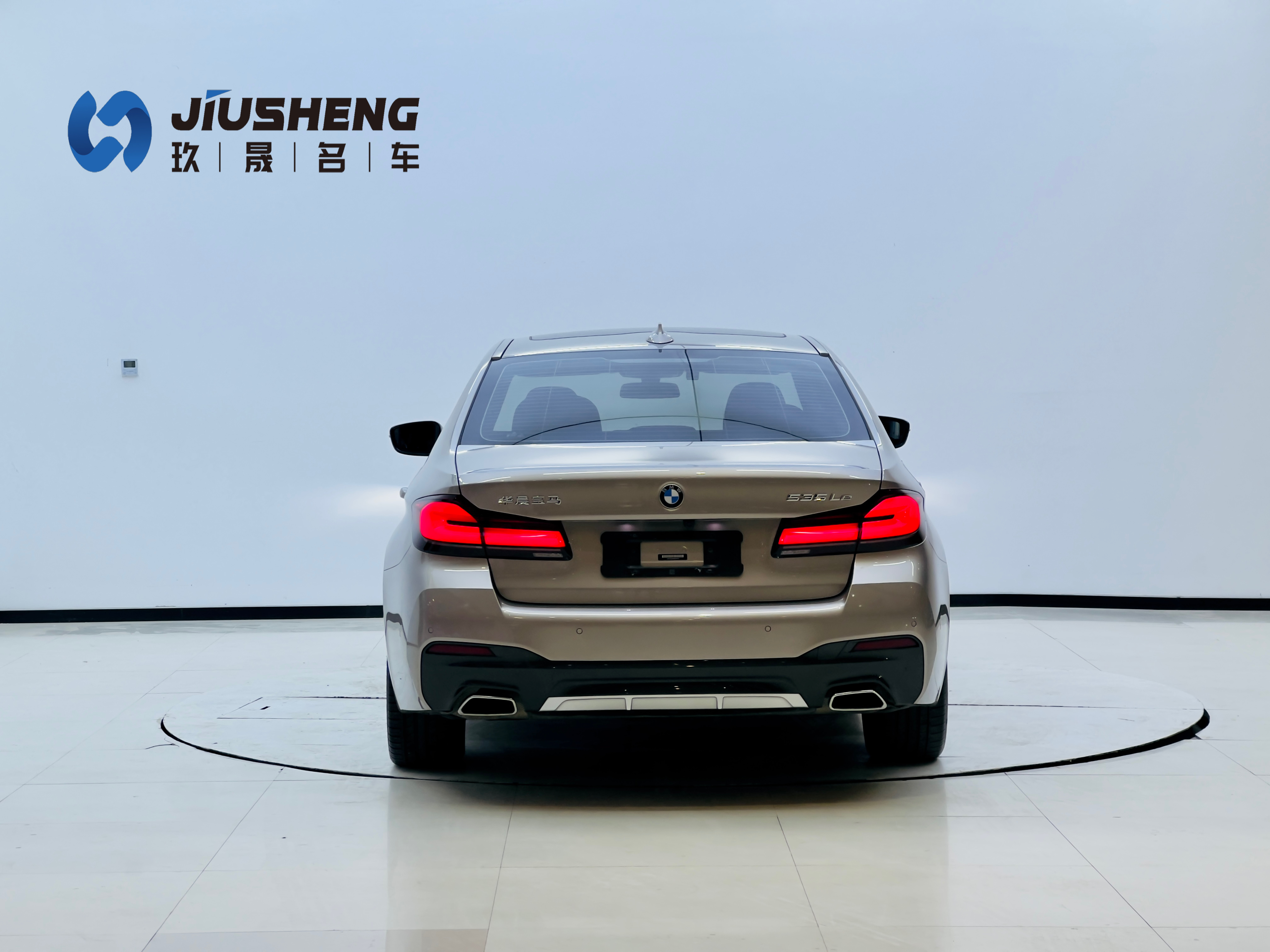 BMW 5 Series New Energy 2021 car image #5