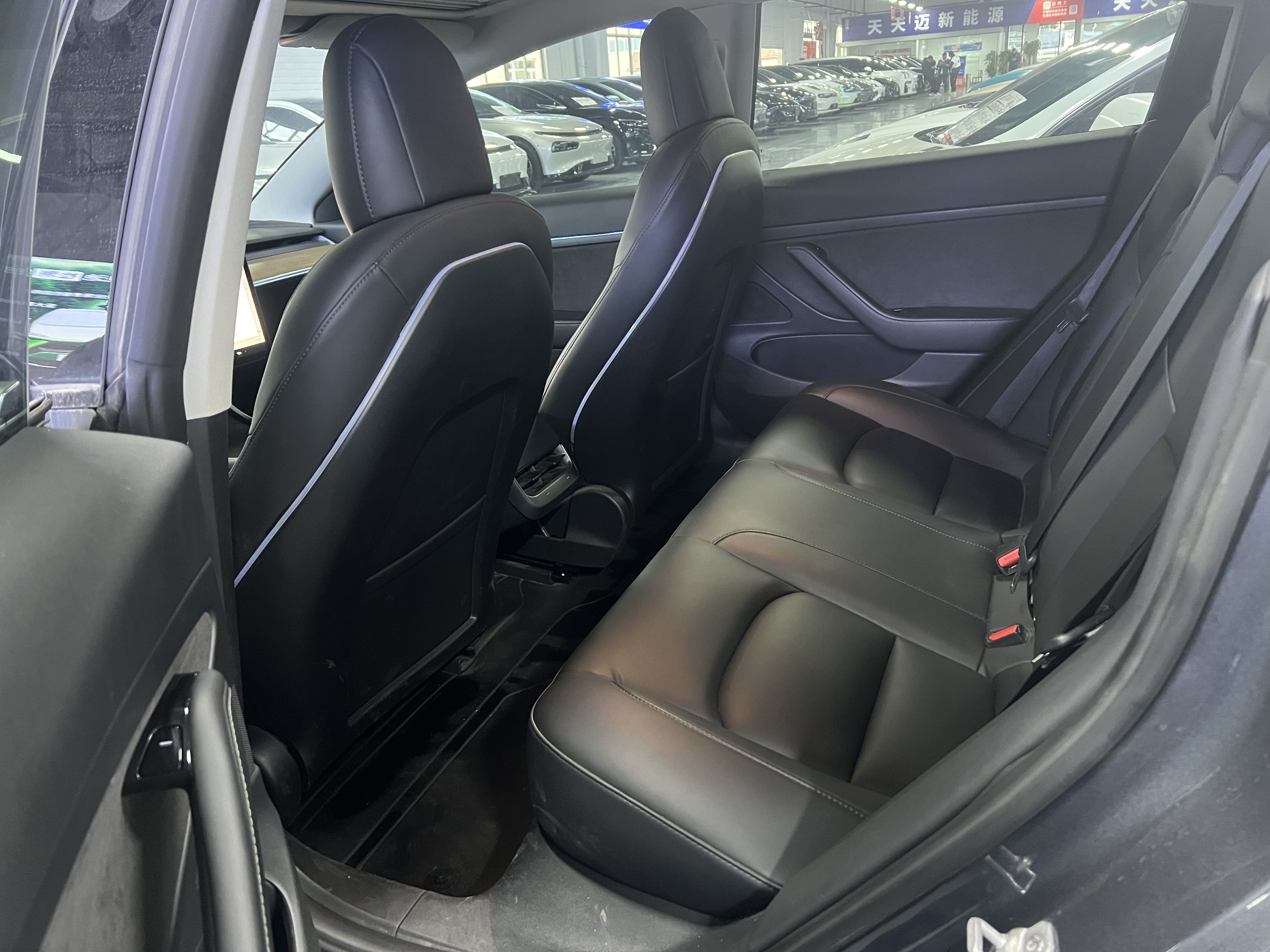 Tesla Model 3 2021 #5 Tesla Model 3 2021 car image #5