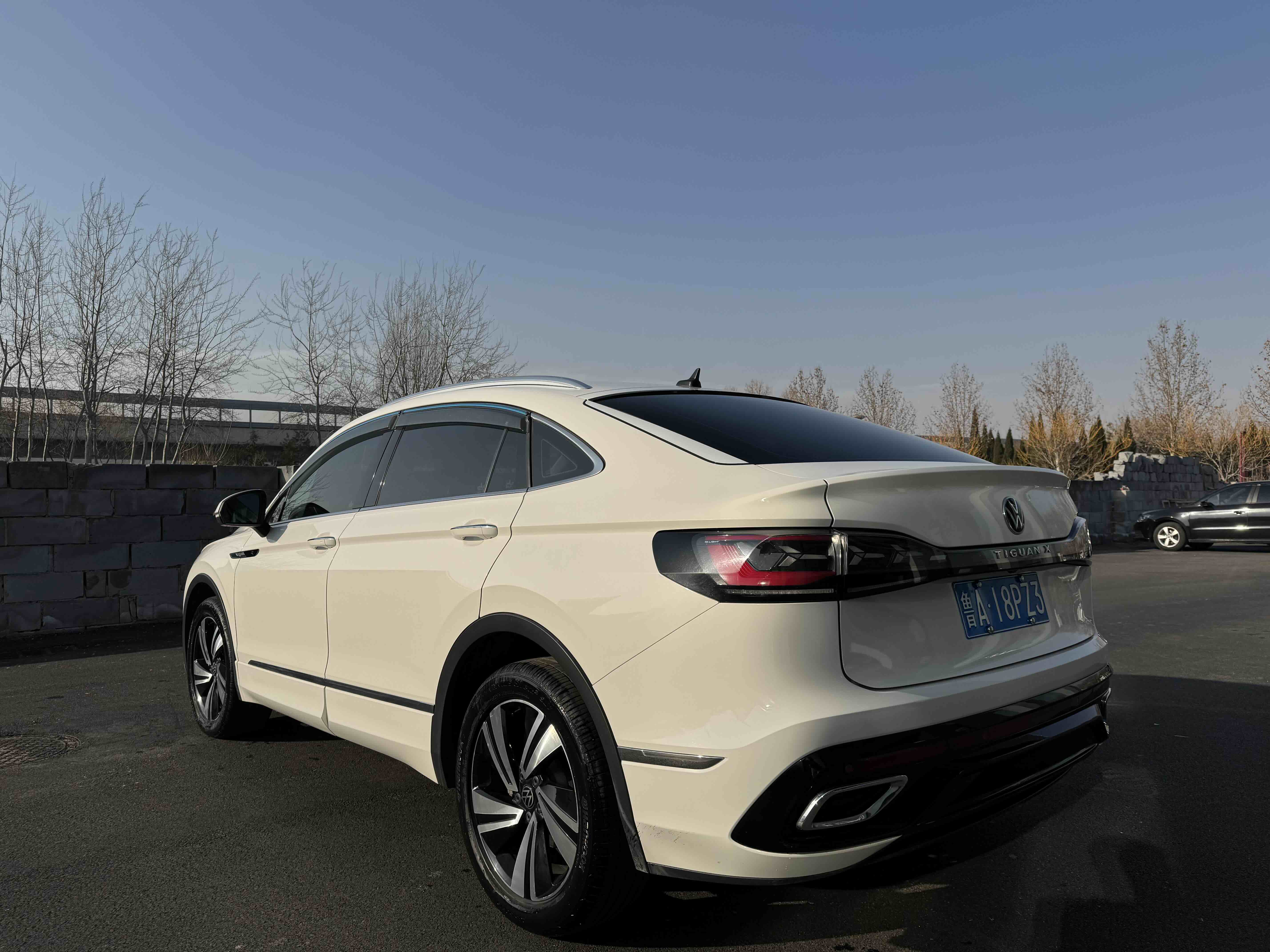 Volkswagen Tiguan X 2021 car image #5