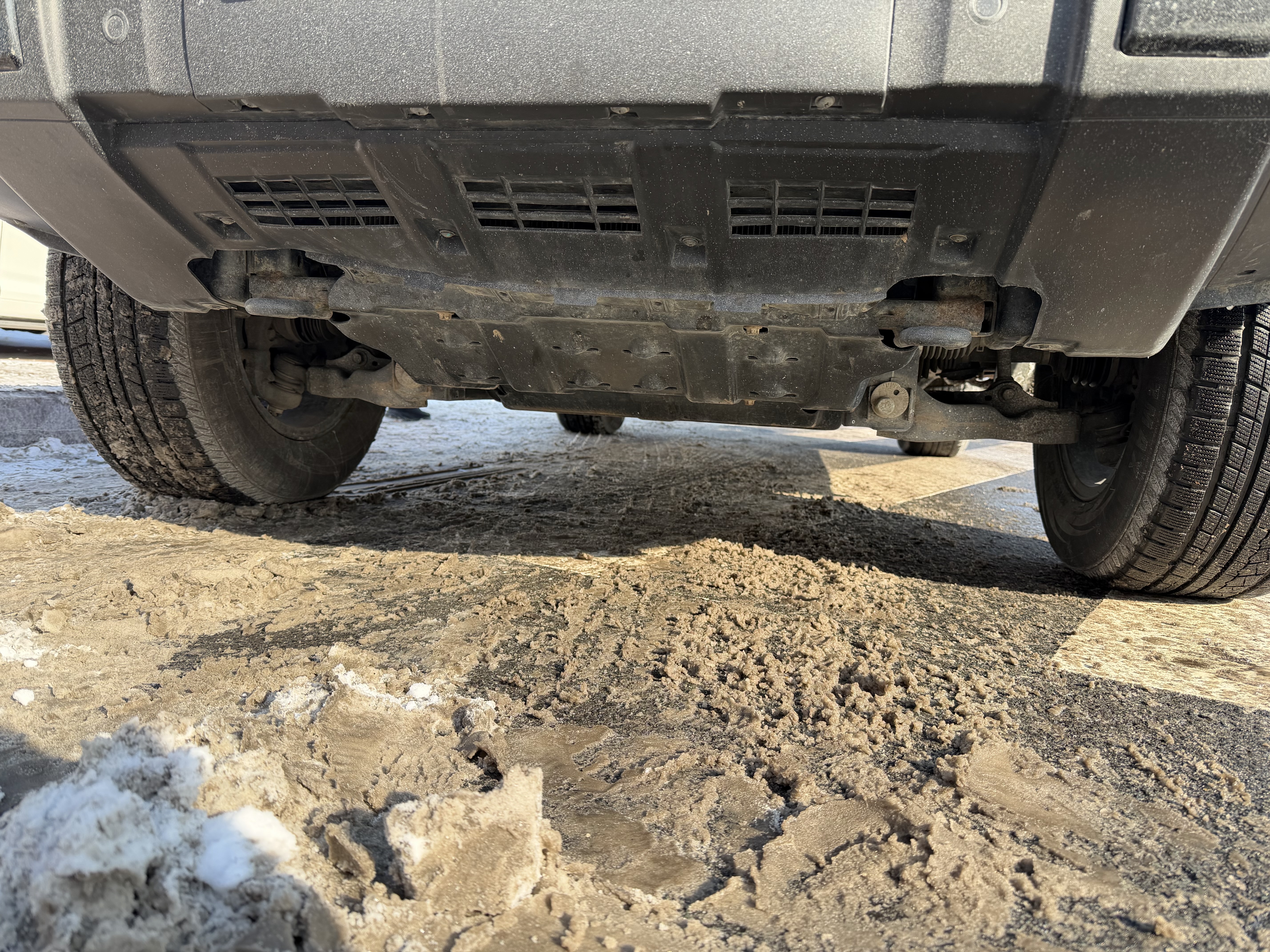 Tank 300 2021 car image #5