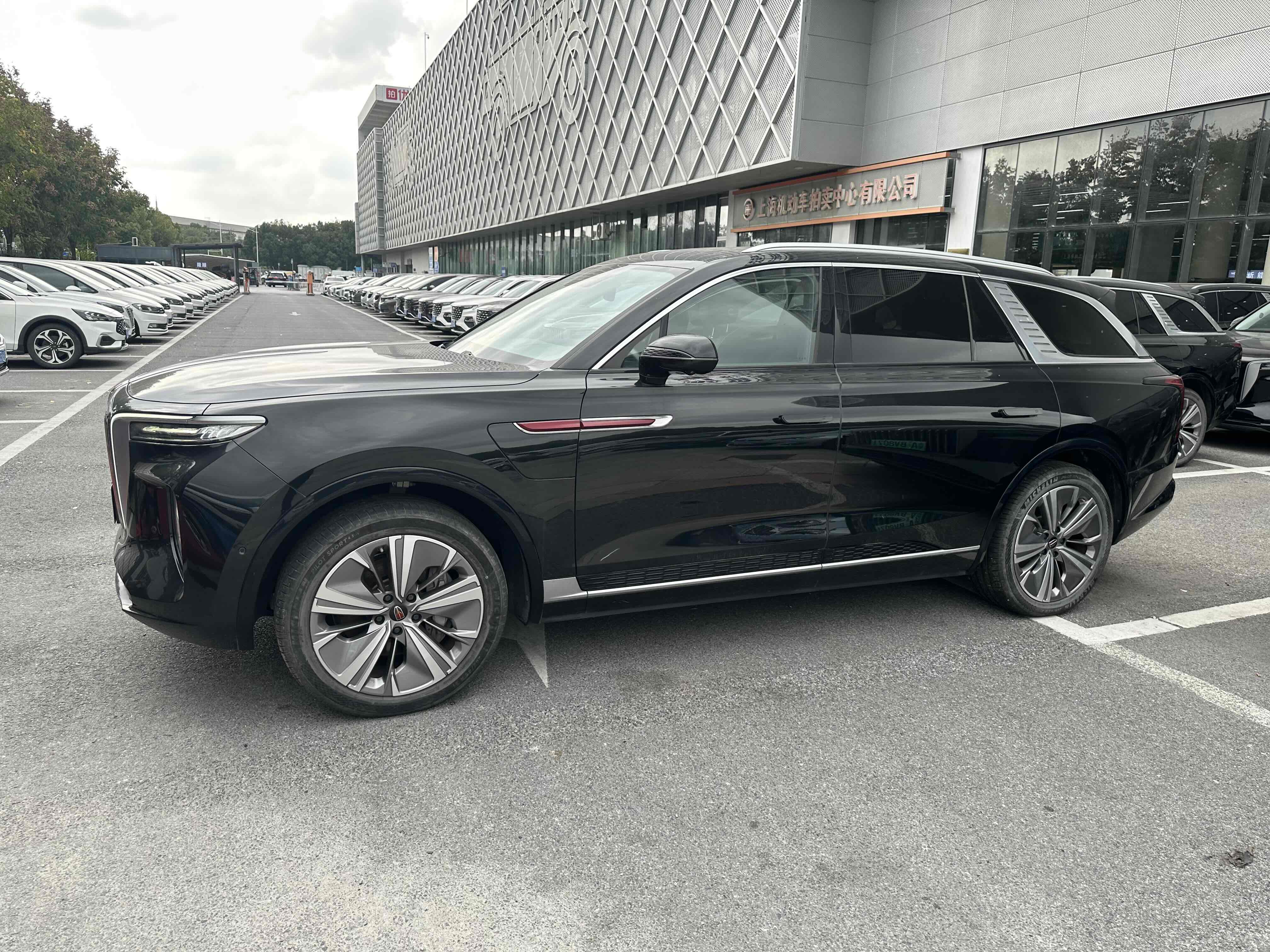 HongQi E-HS9 2023 immagine di auto #5