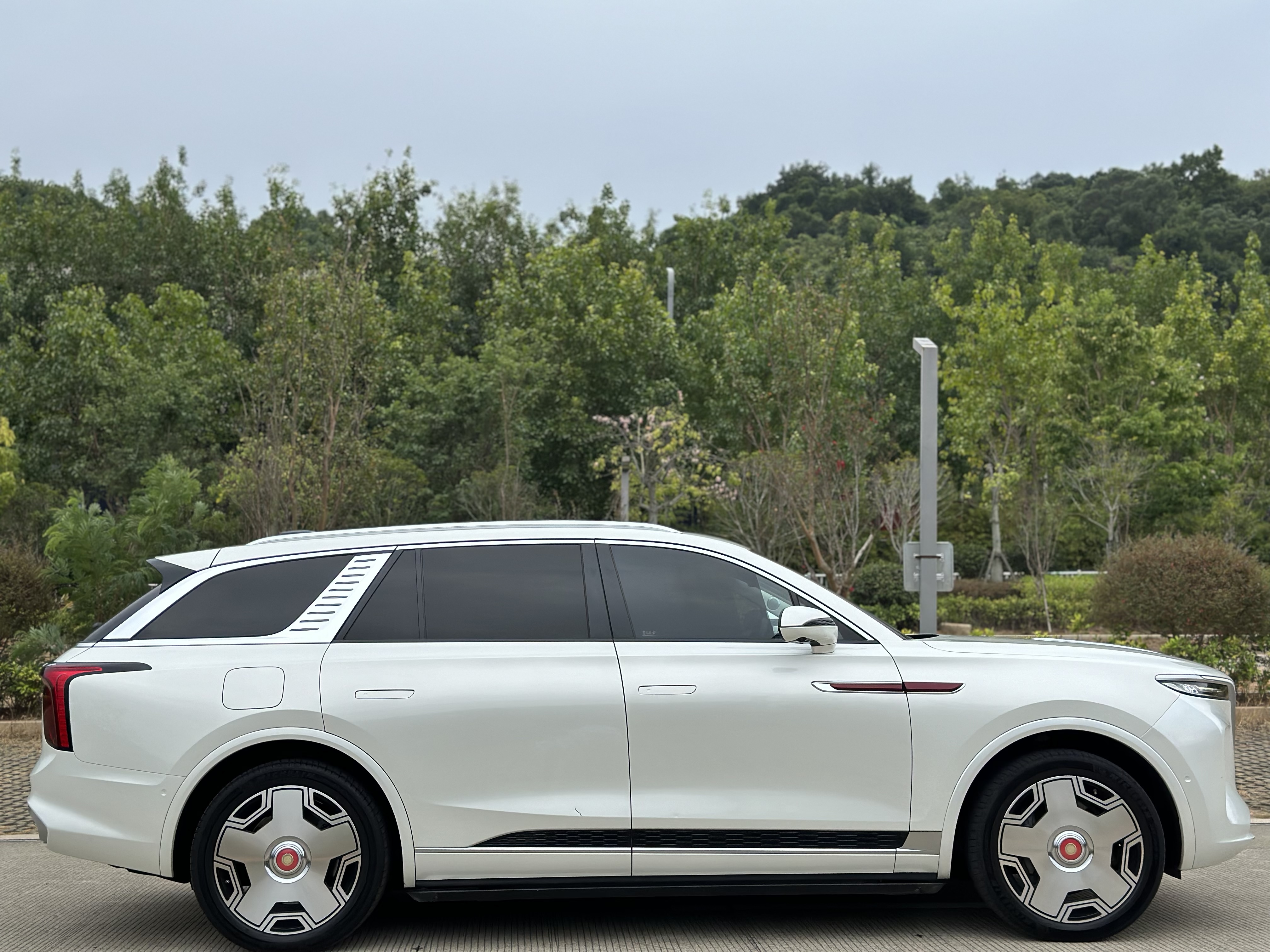 HongQi E-HS9 2021 #5 HongQi E-HS9 2021 immagine di auto #5