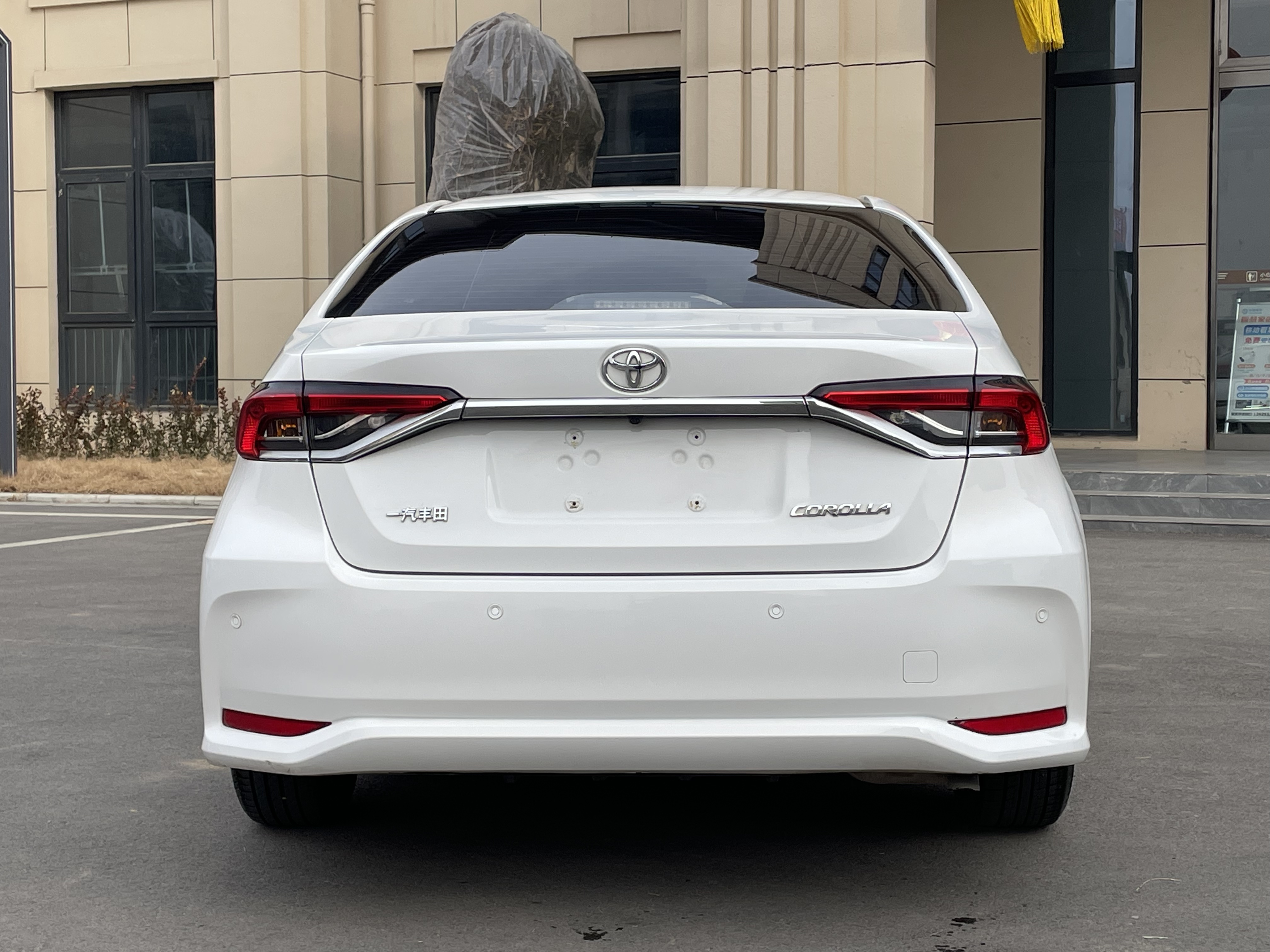 Corolla 2021 car image #5